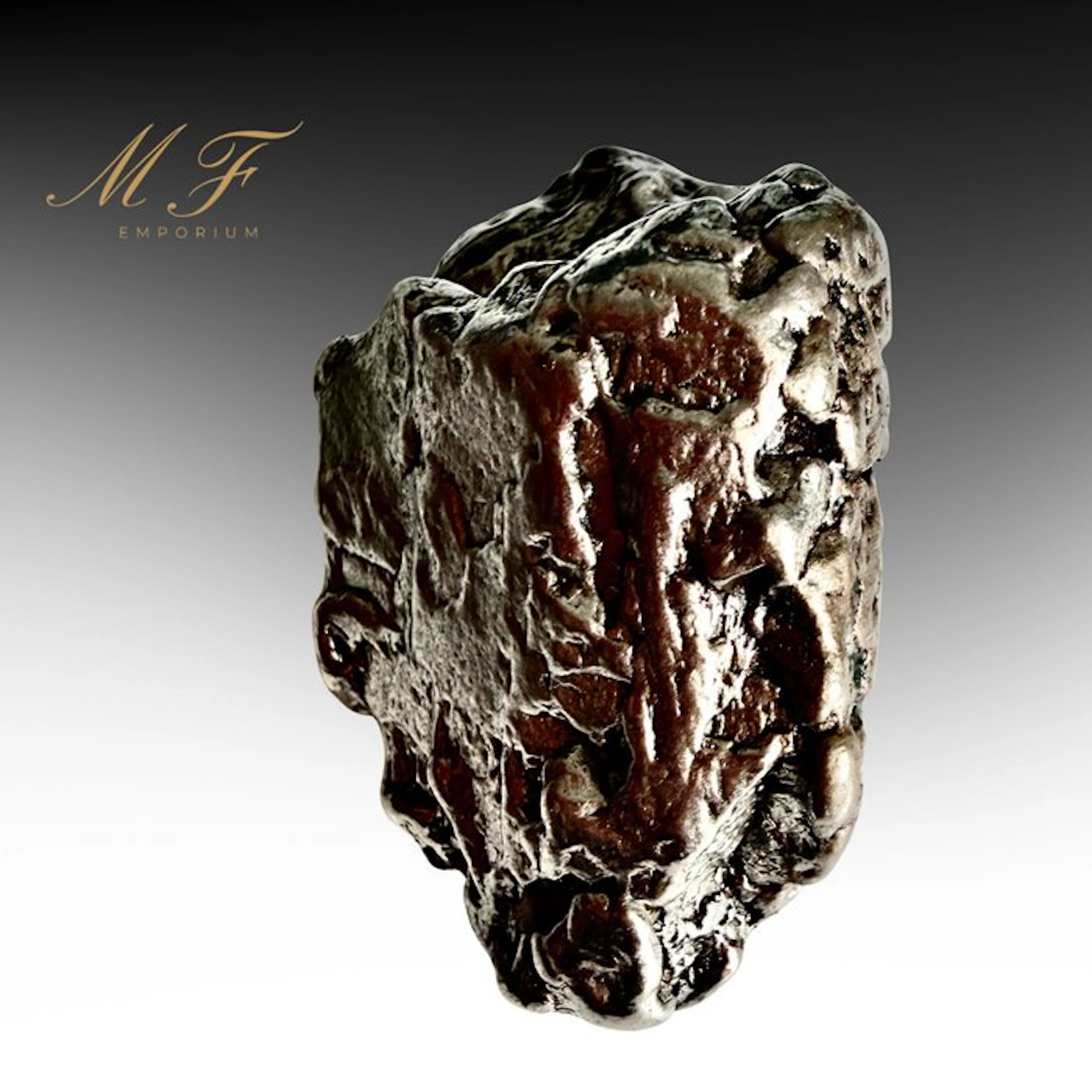 Campo del Cielo Meteorite – Exceptional Specimen Specimen...