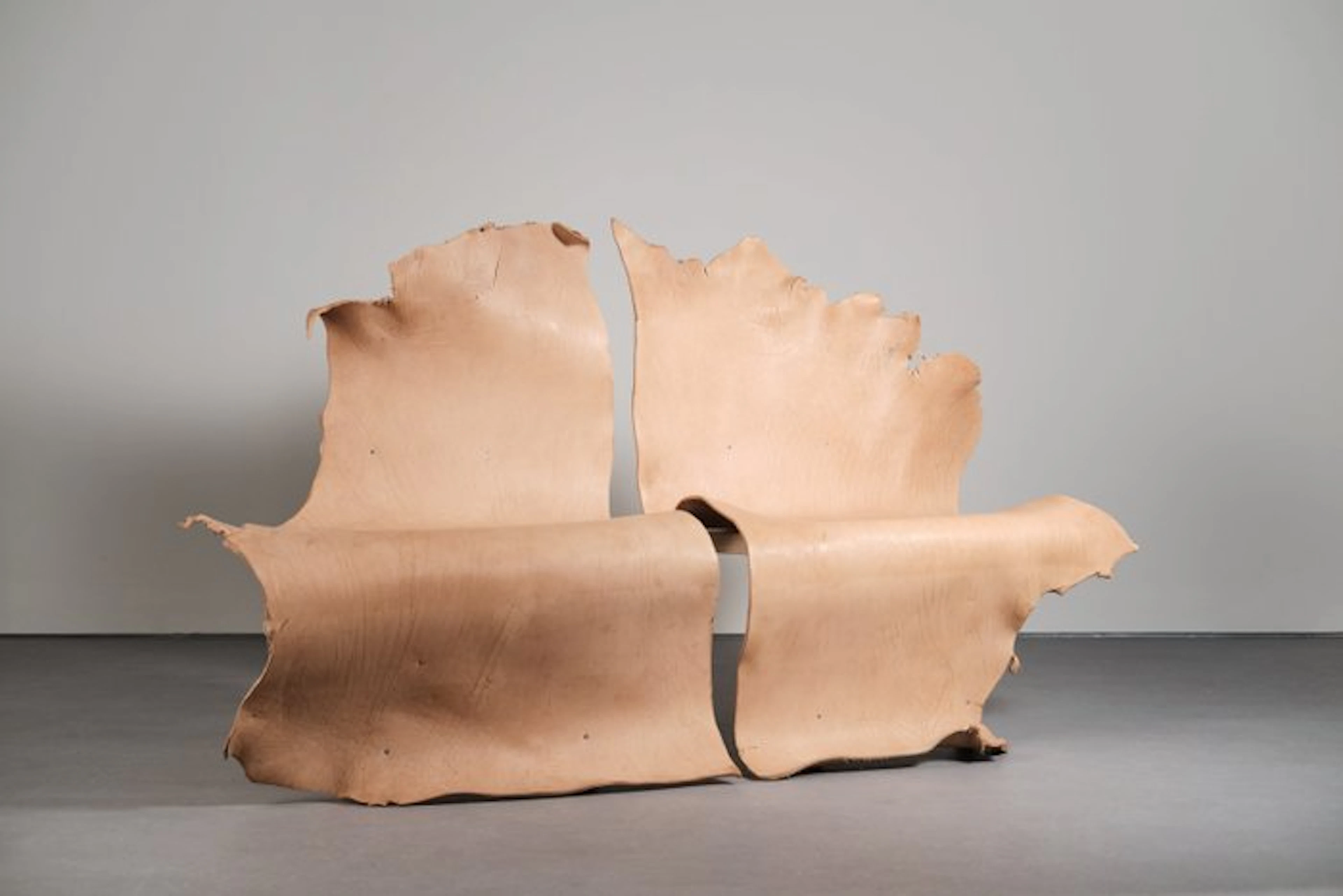 Jordi Ribaudí - Chair (2) - Atribut - Spruce, Buffalo leather - Atribut
