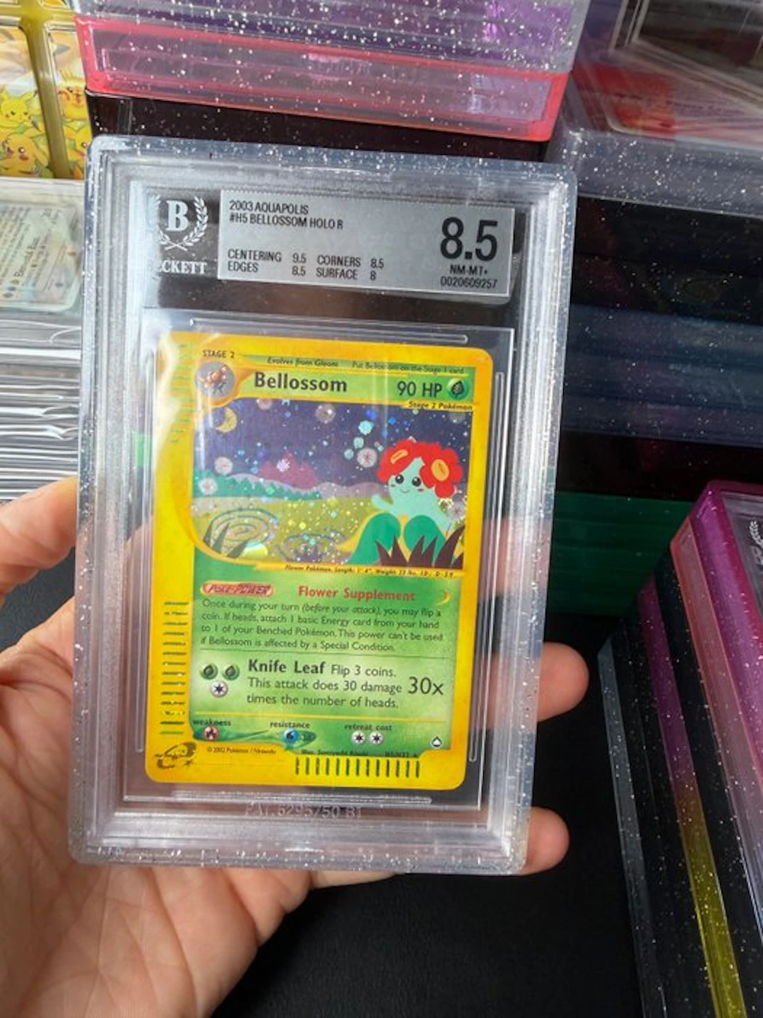 Pokémon - 1 Graded card - Bellossom H5 Foil - Beckett 8.5 - WOTC - Skyridge