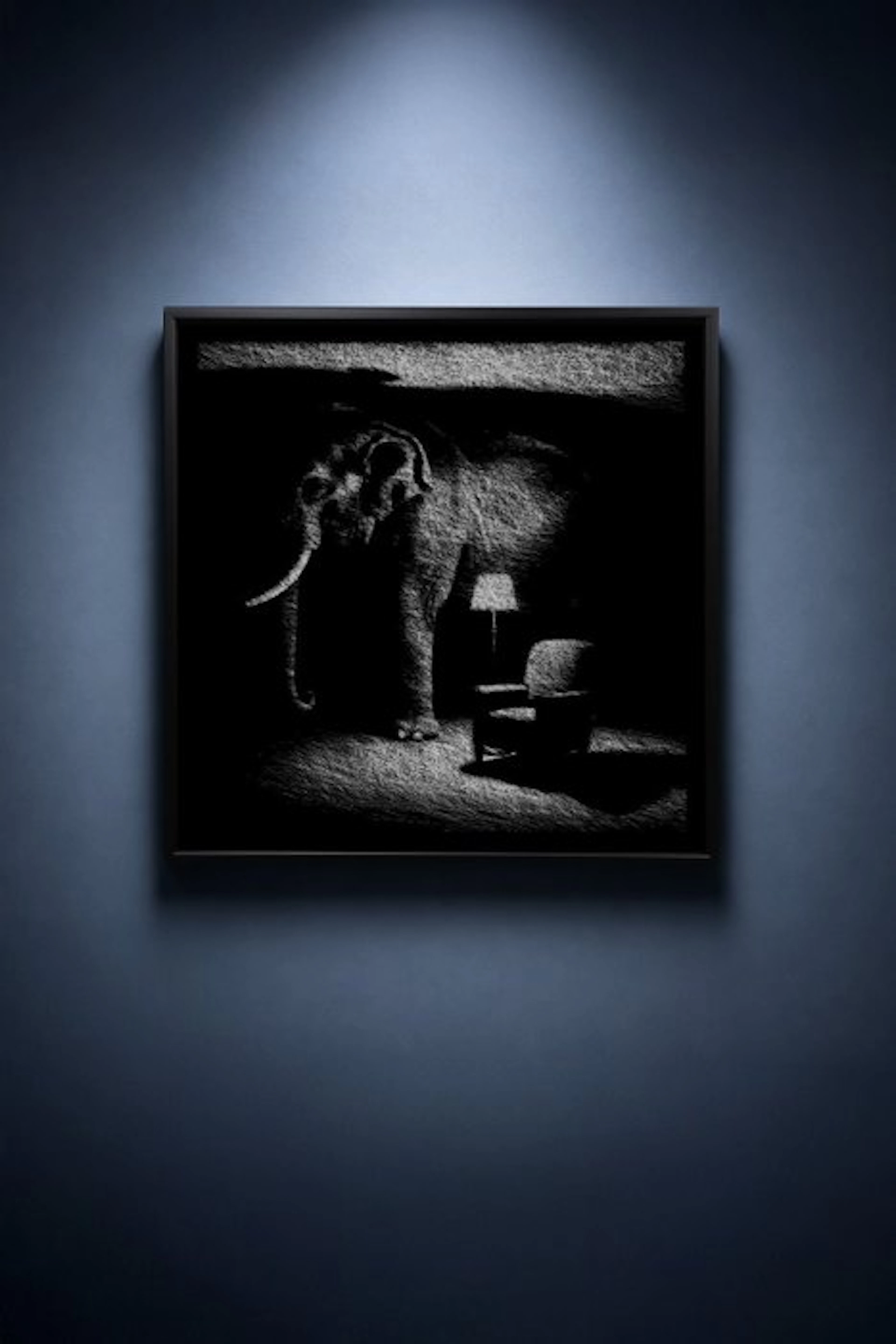 Tijs Dragtsma (1992) - The Elephant in the Room