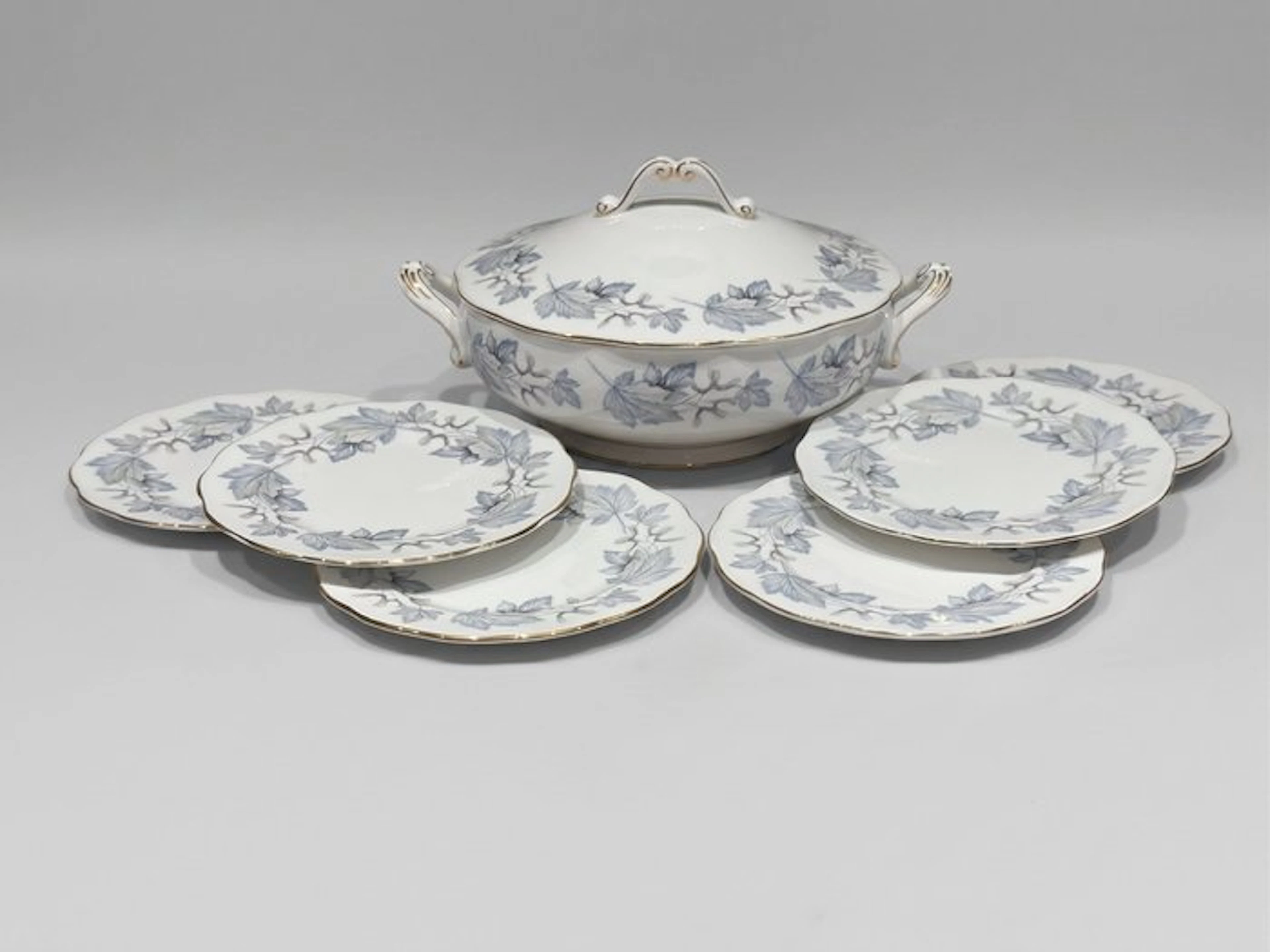 royal albert - Table service (7) - silver maple - Bone china