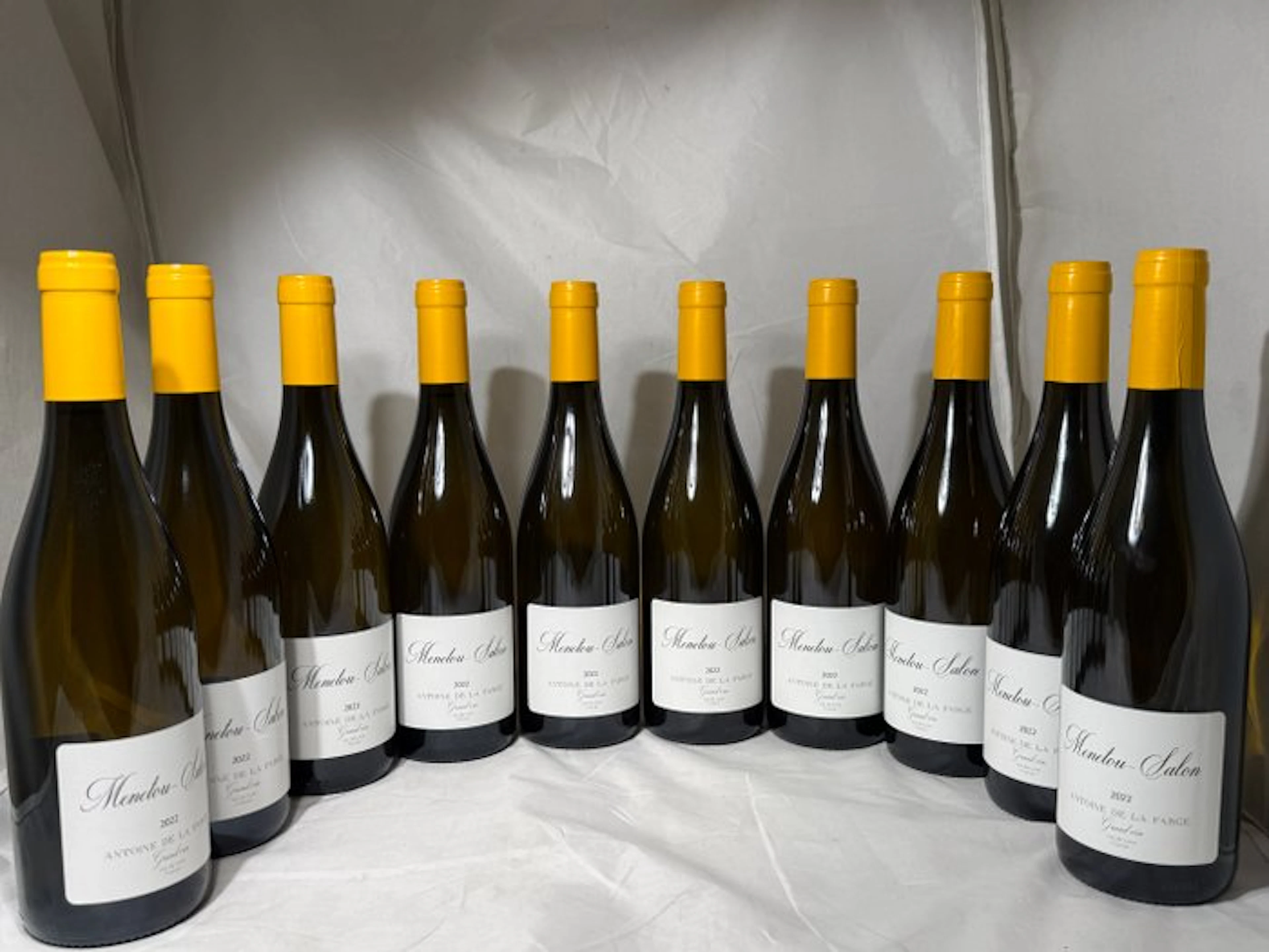 2022 Antoine de la Farge, Menetou-Salon - Loire - 10 Bottles (0.75L)