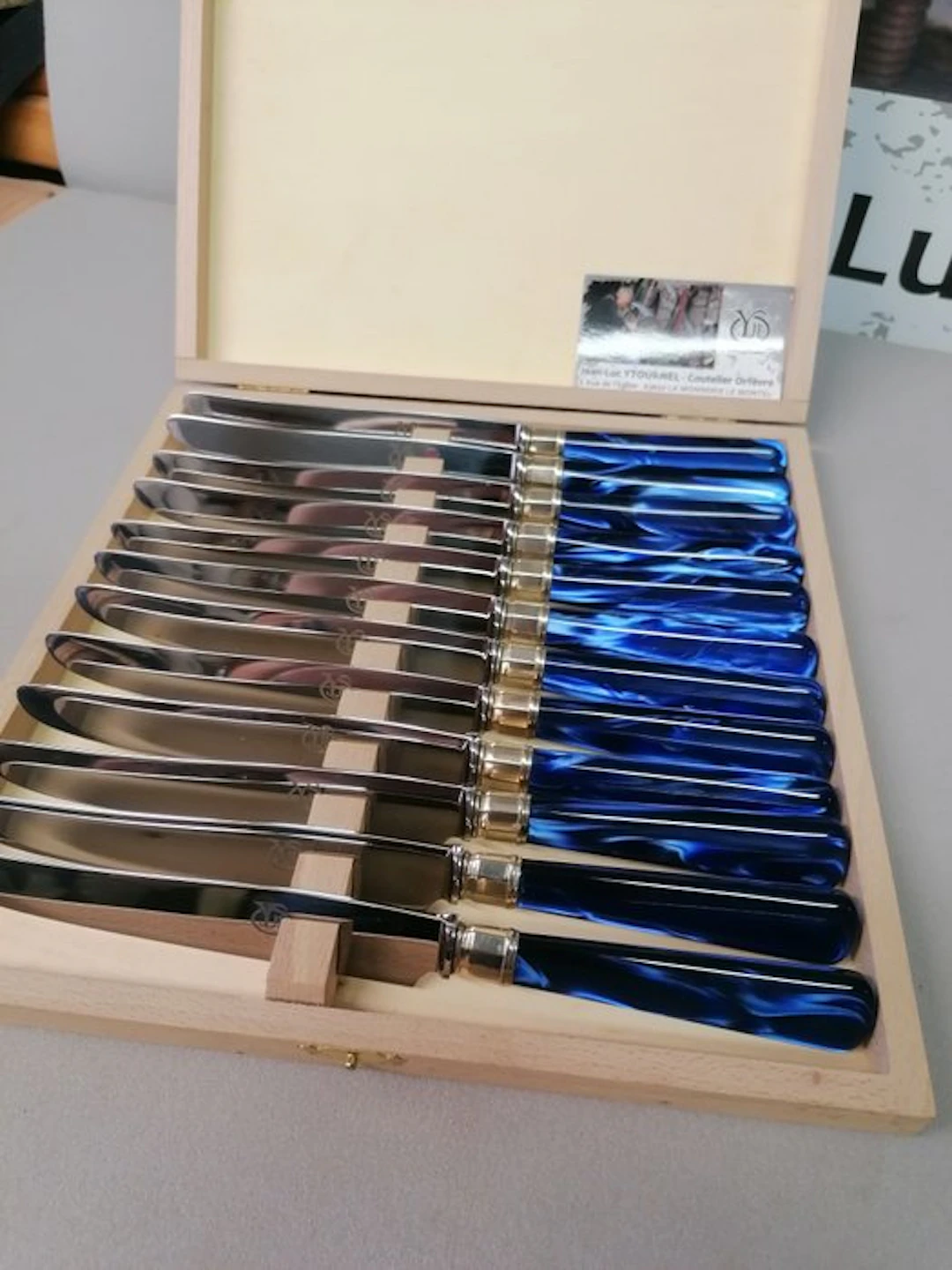Table knife set (12) - Steel, Resin
