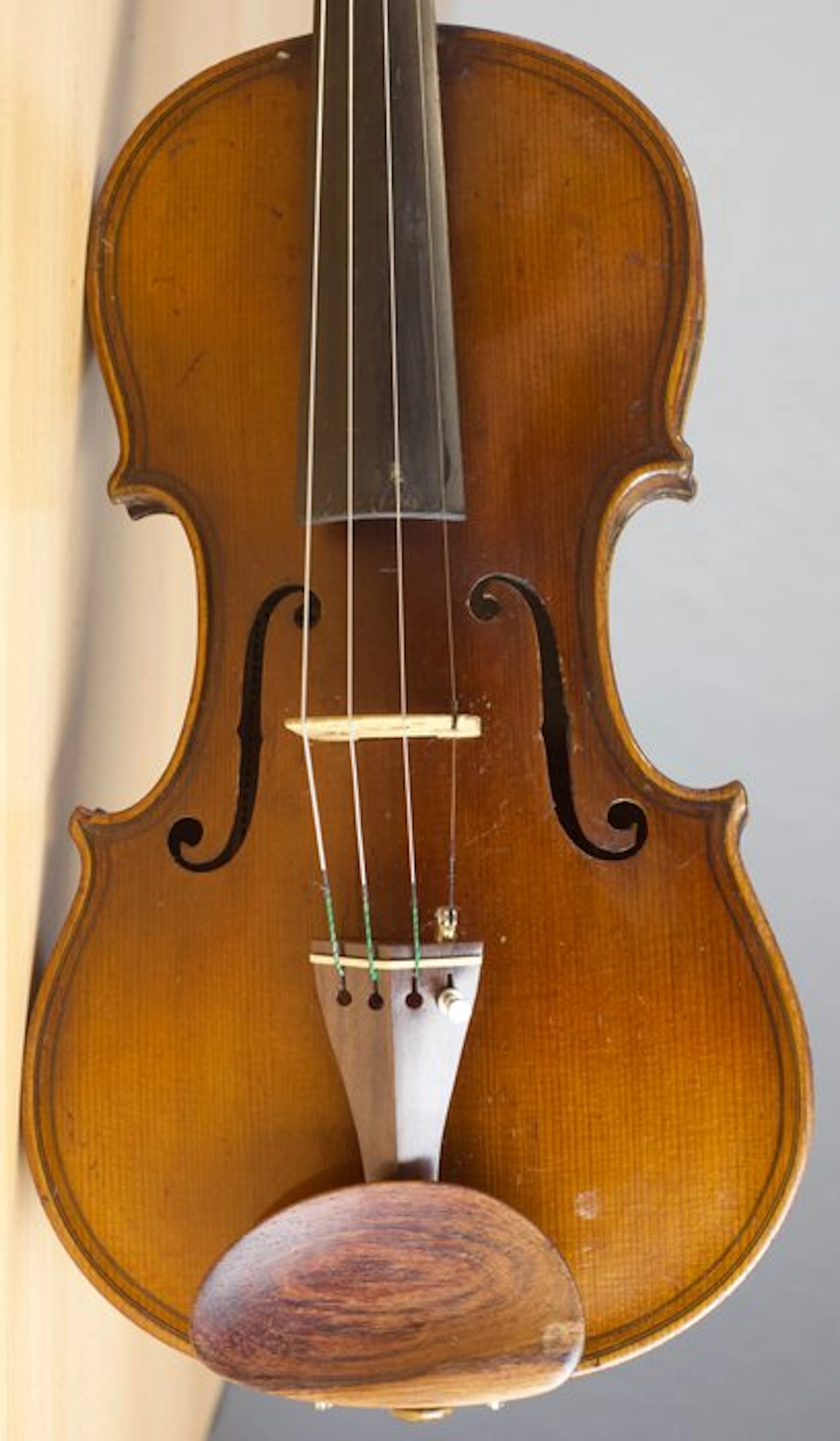 Labelled Aldric 4/4 - - Violin - Unknown