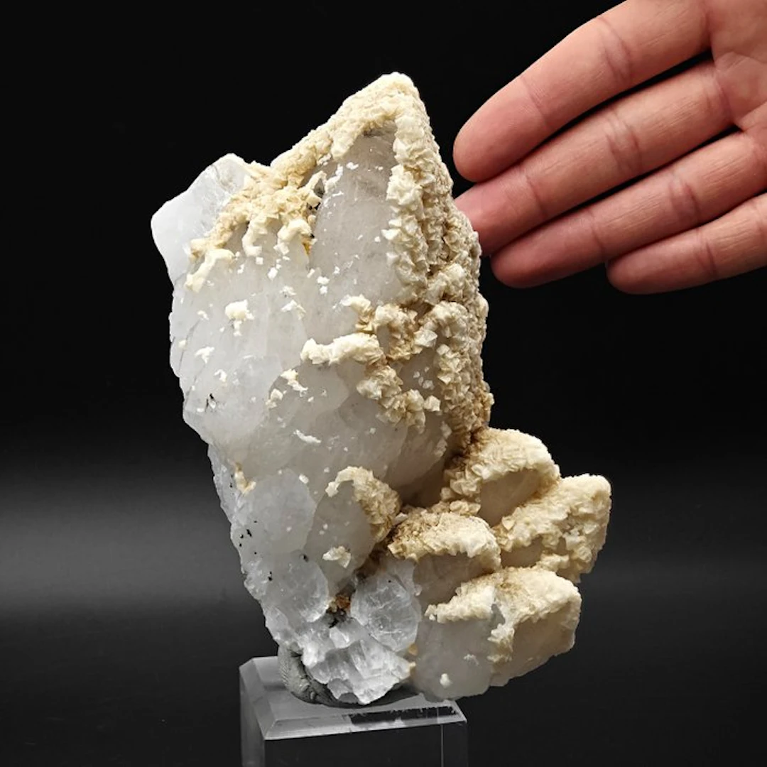 Milky Cactus Quartz
