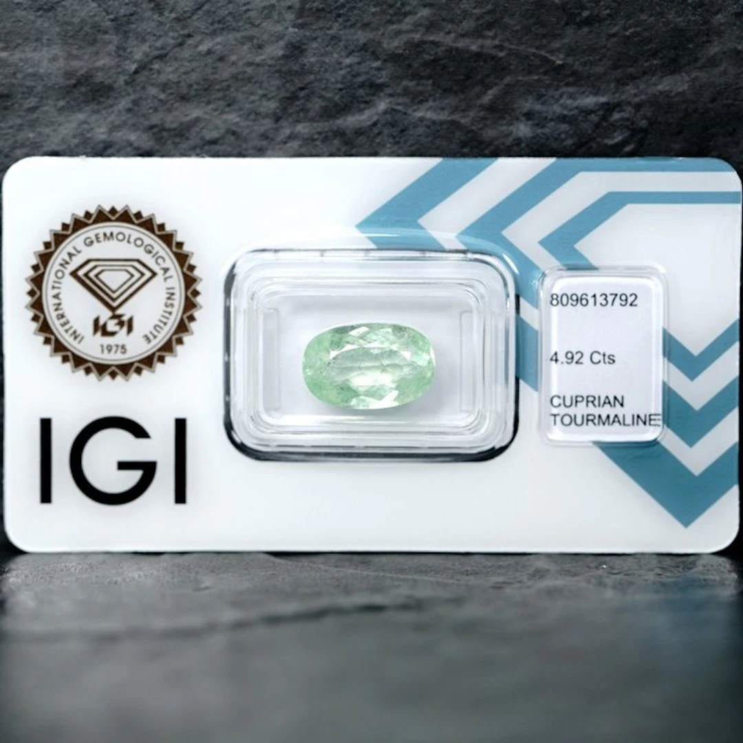 1 pcs Green Tourmaline paraiba - 4.92 ct - International...