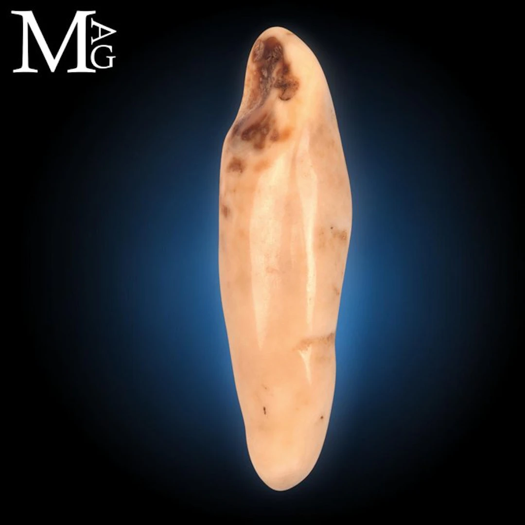 Ancient Arctic Walrus Molariform Tooth with a Creamy...