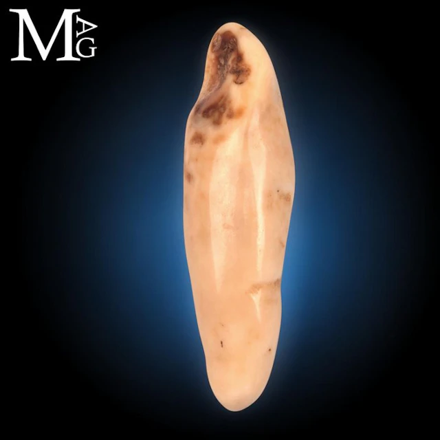 Ancient Arctic Walrus Molariform Tooth with a Creamy...