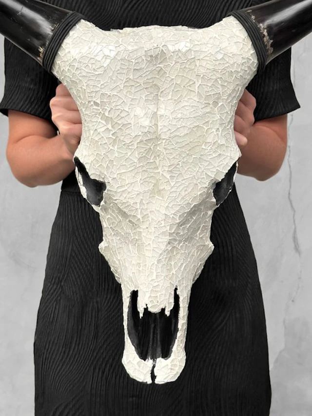 NO RESERVE PRICE - Stunning Cow skull with Glass Mosaic...
