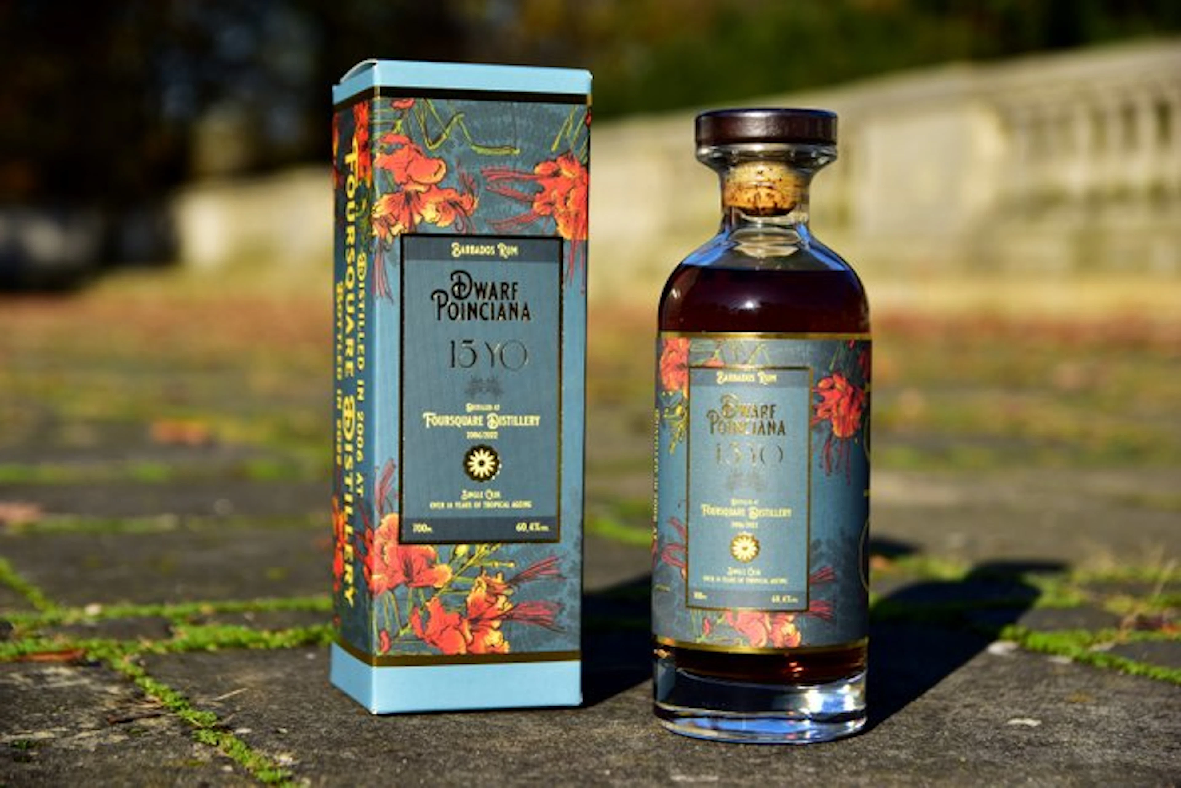 Foursquare 2006 15 years old Distilia - Dwarf Poinciana...