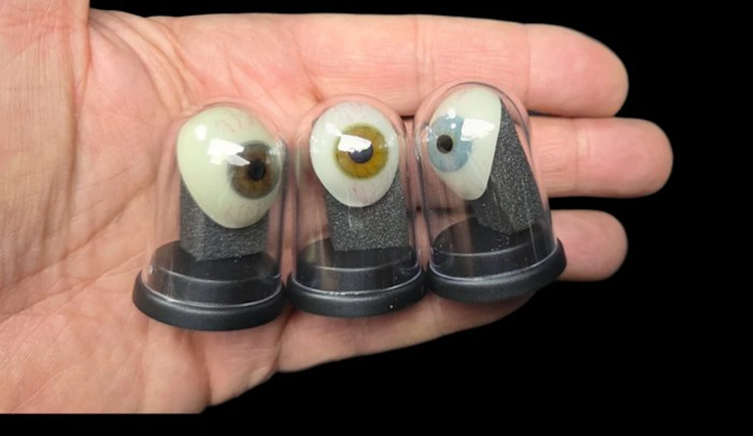 3 ocular prosthesis-artificial eye is a removable glass...