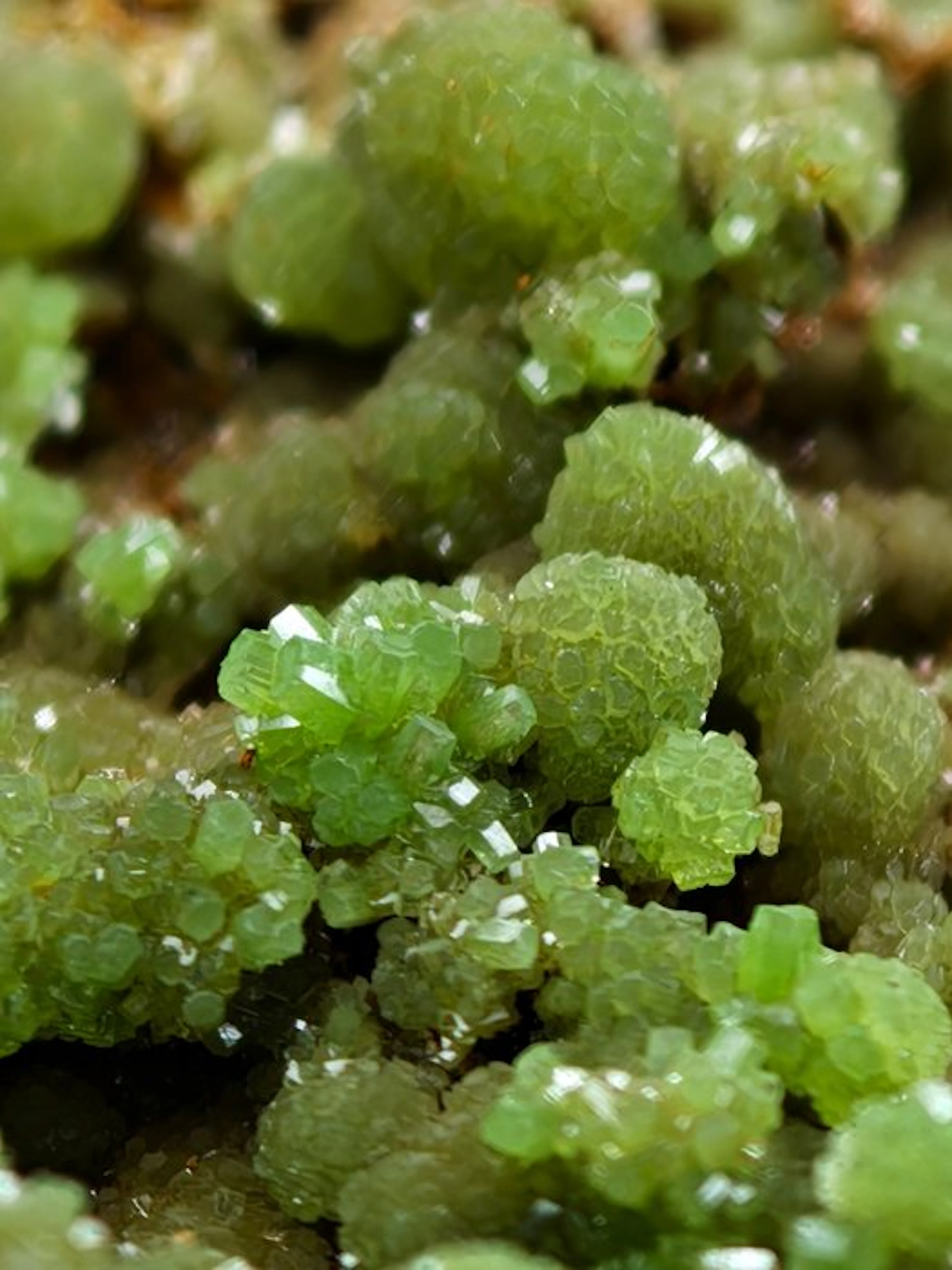 Rare fluorescent green pyromorphite