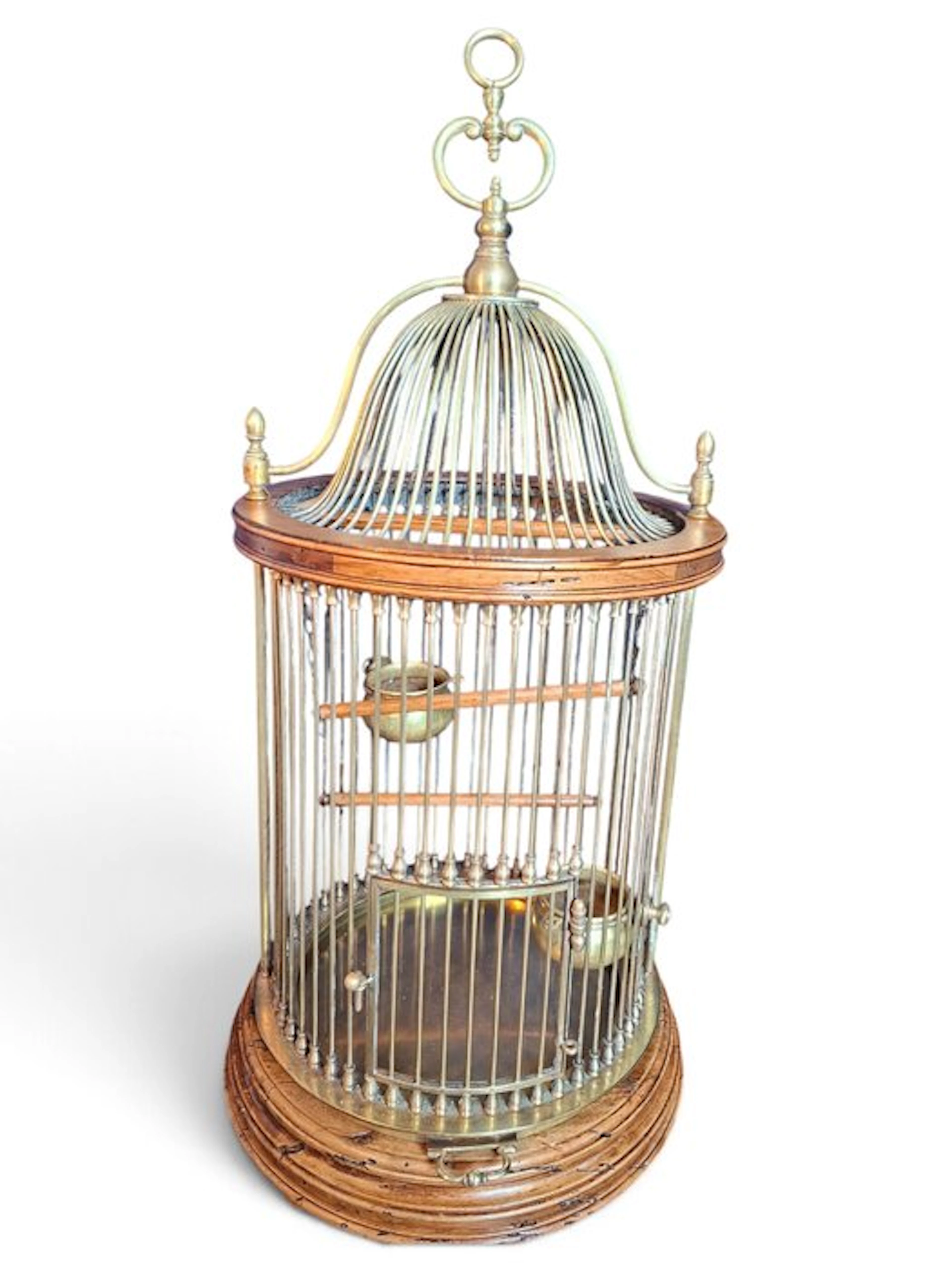 Birdcage - Brass, Wood - Classic and elegant