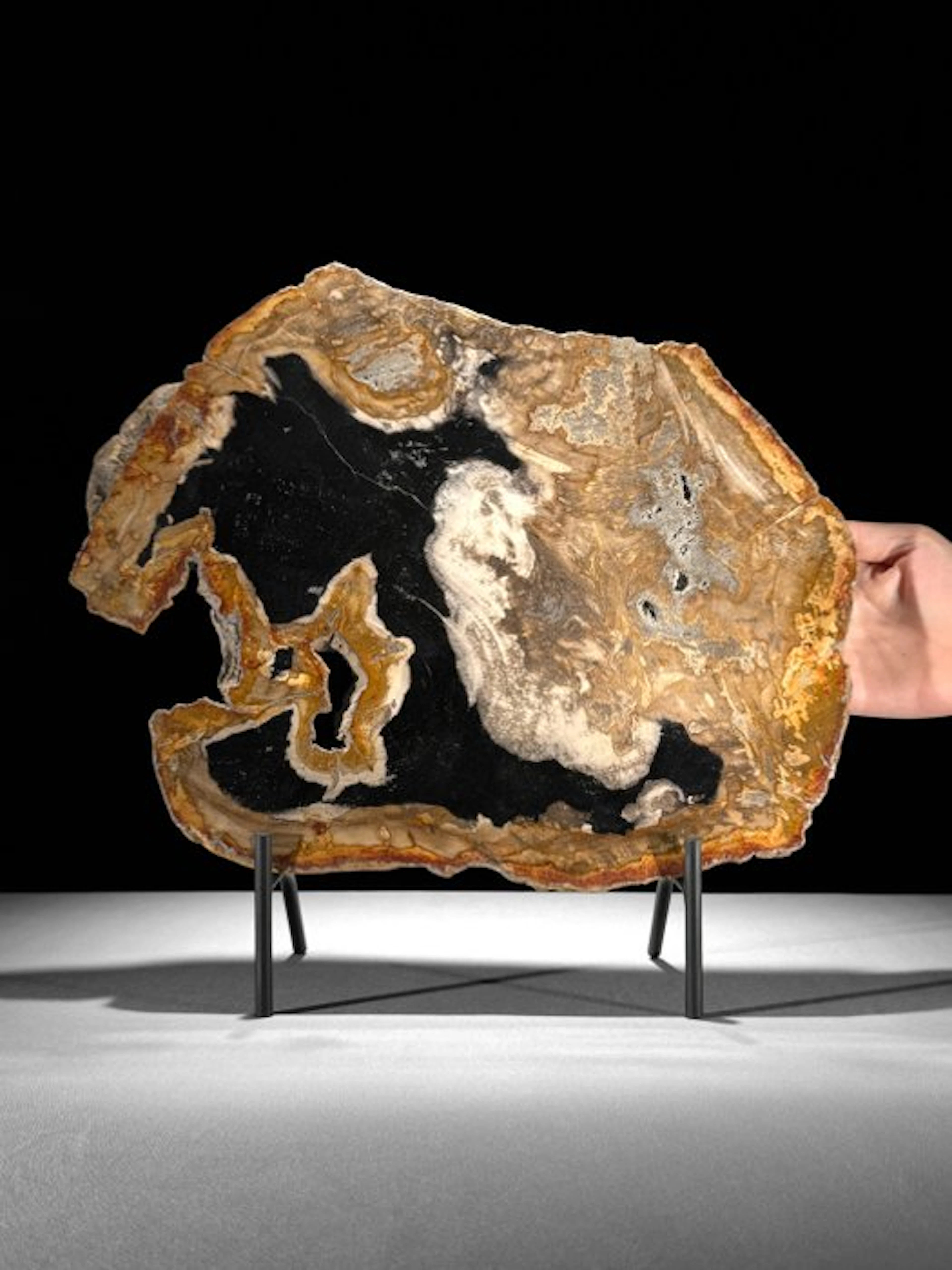 C-Stunning Large Slice of Petrified Wood on a custom...