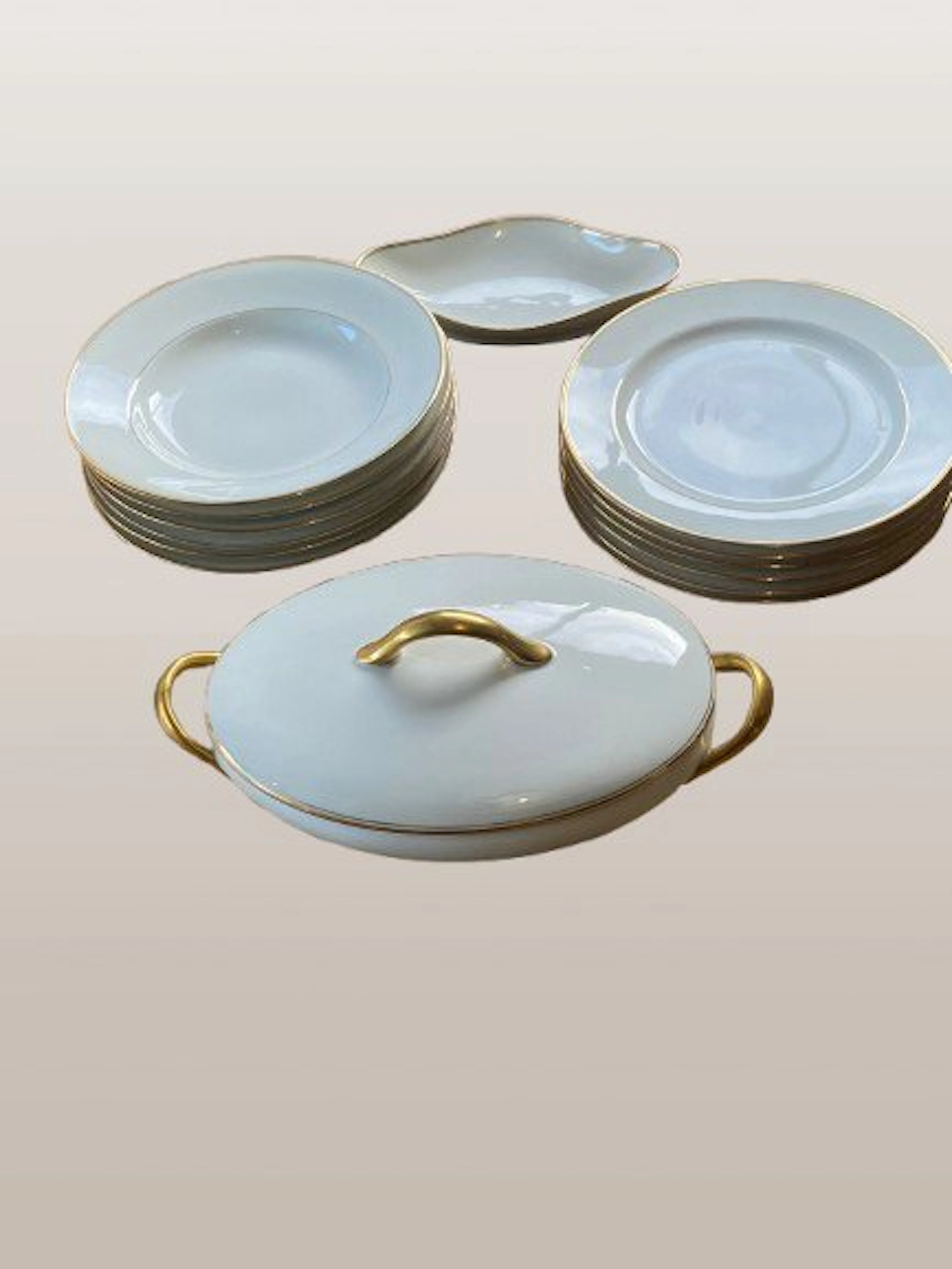 Limoges - Dinner set (14) - Porcelain