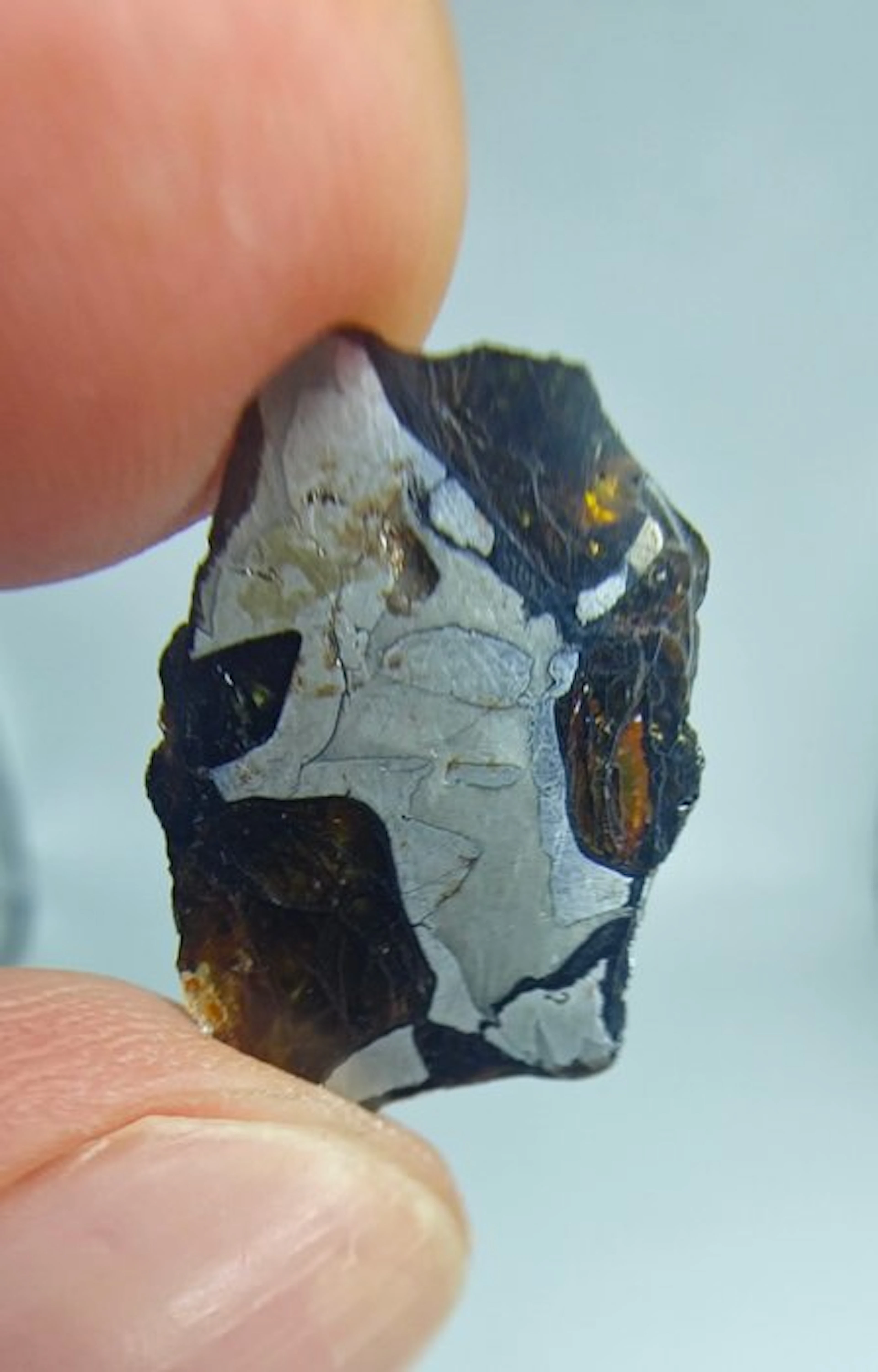 Pallasite Meteorite, NWA 16774. No reserve price. - 4.15 g