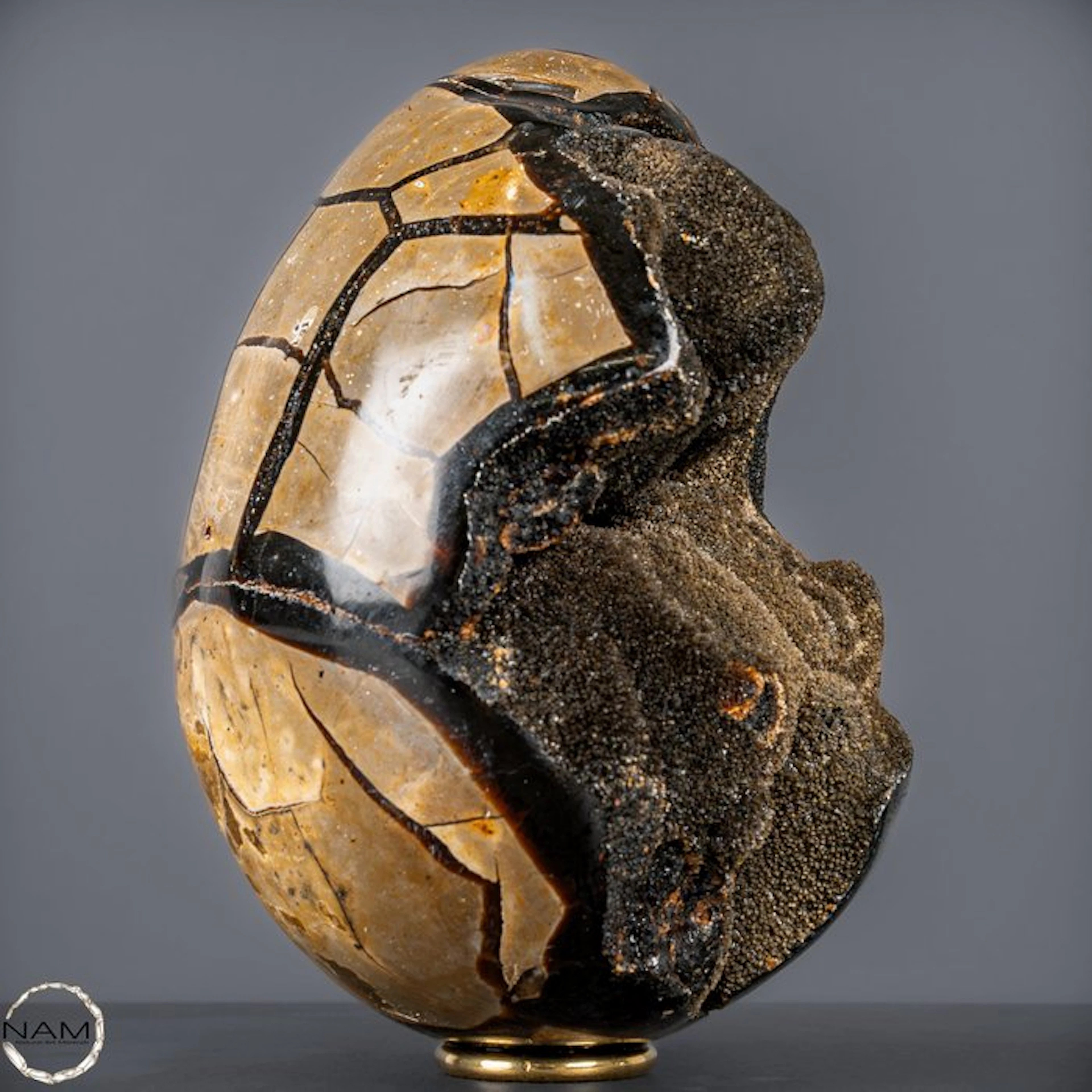 Natural septarian nodules in an egg shape – Powerful earth structure- 4025.19 g