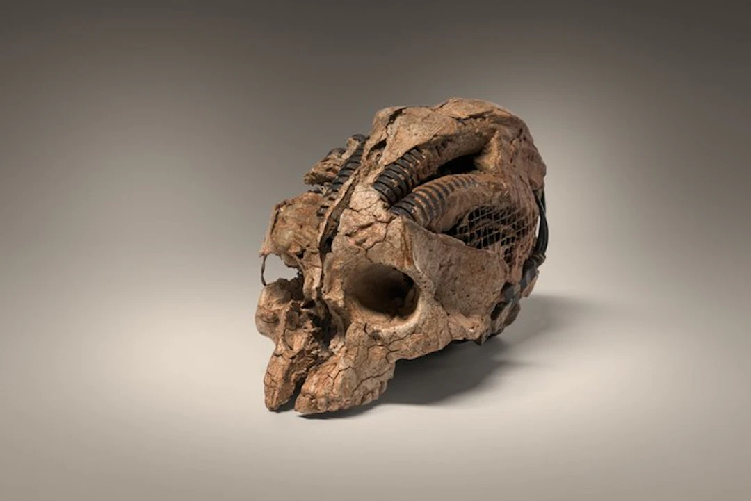 Carlos del Bravo (XX - Sculpture