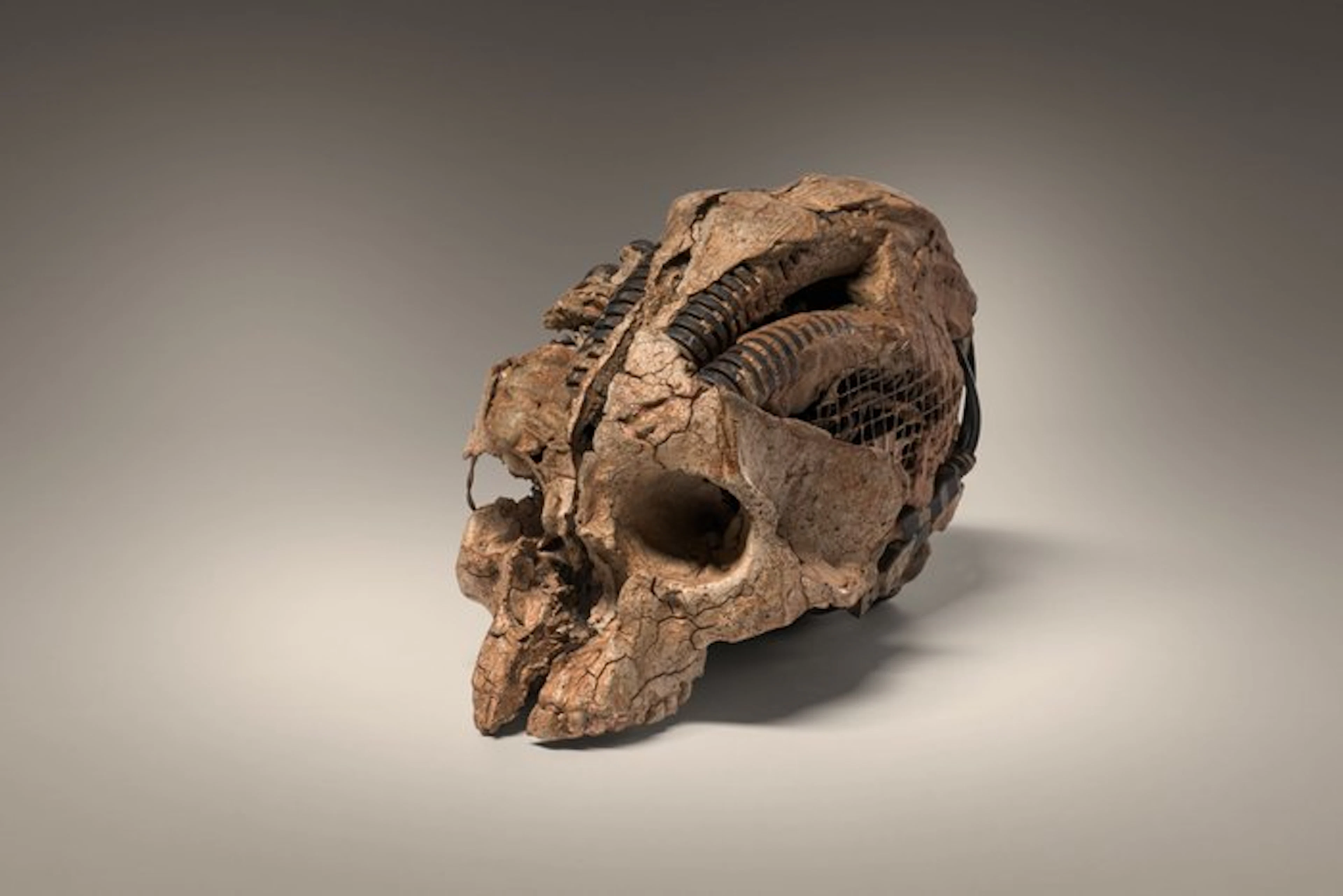 Carlos del Bravo (XX - Sculpture
