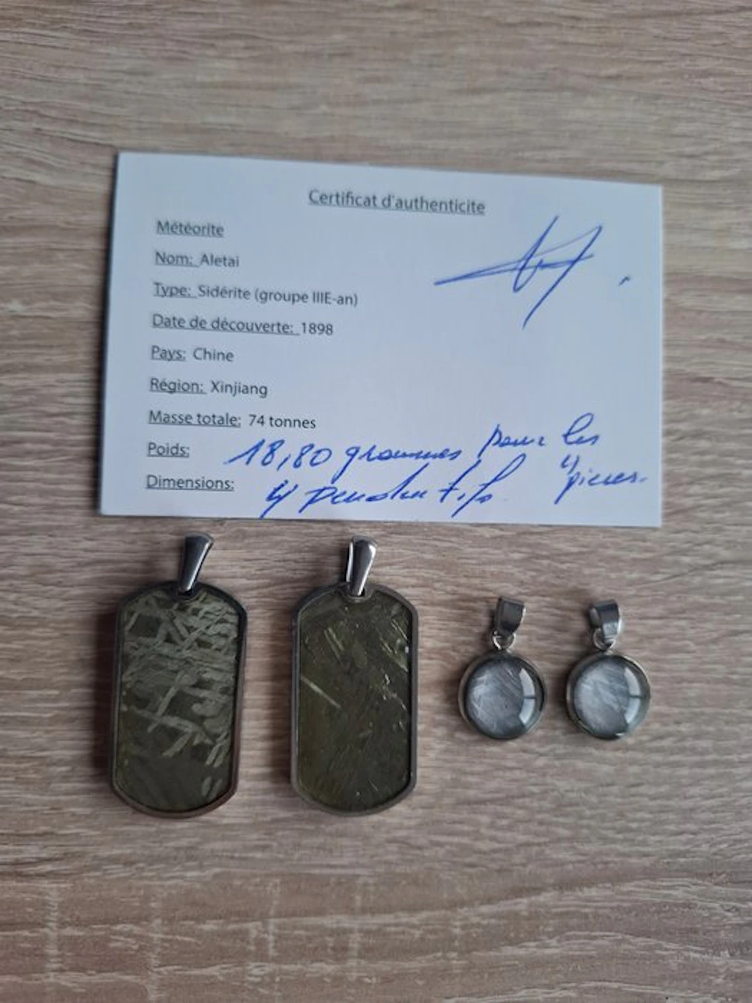 Aletai meteorite Pendant - 18.8 g - (4)