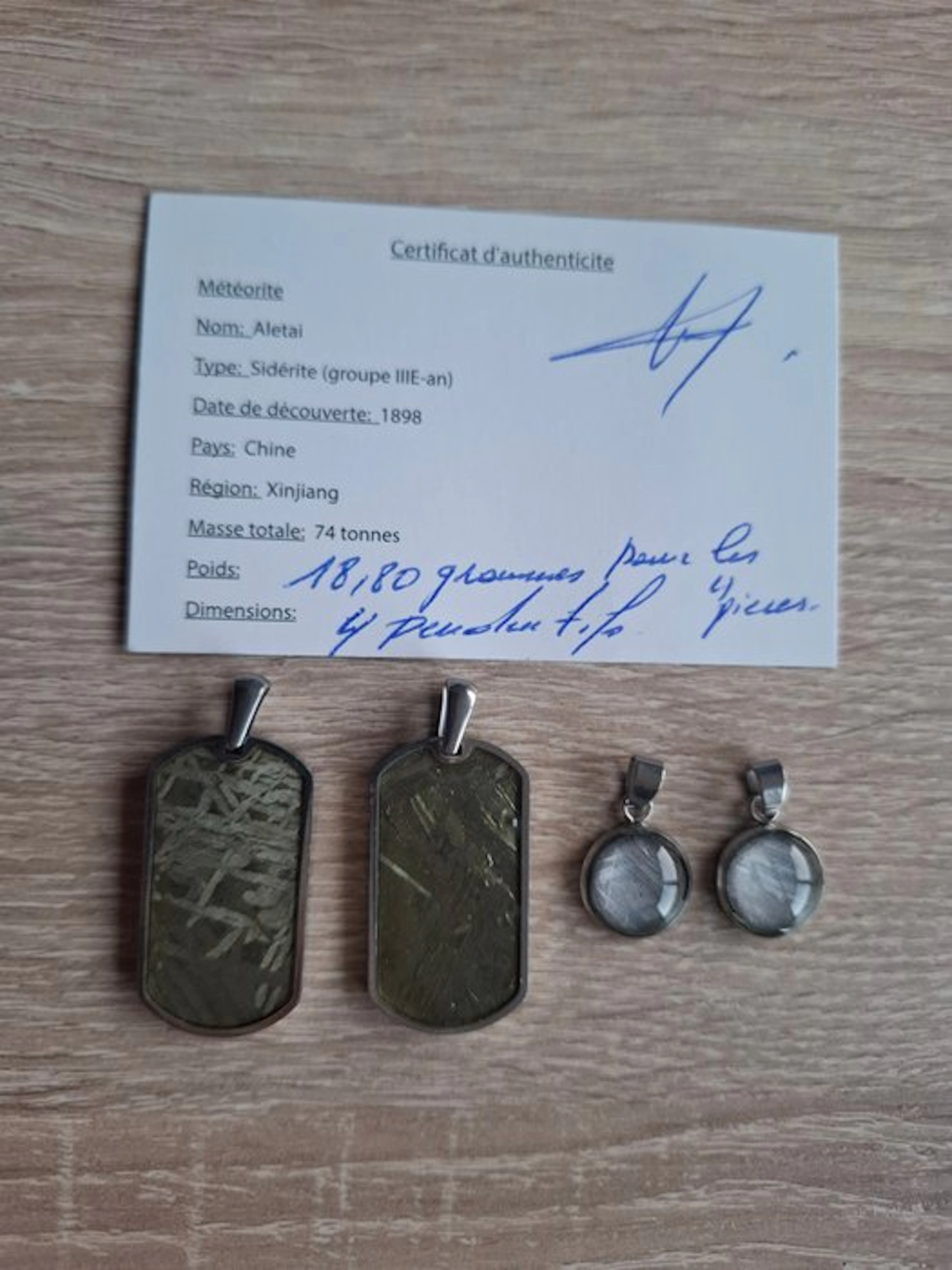 Aletai meteorite Pendant - 18.8 g - (4)