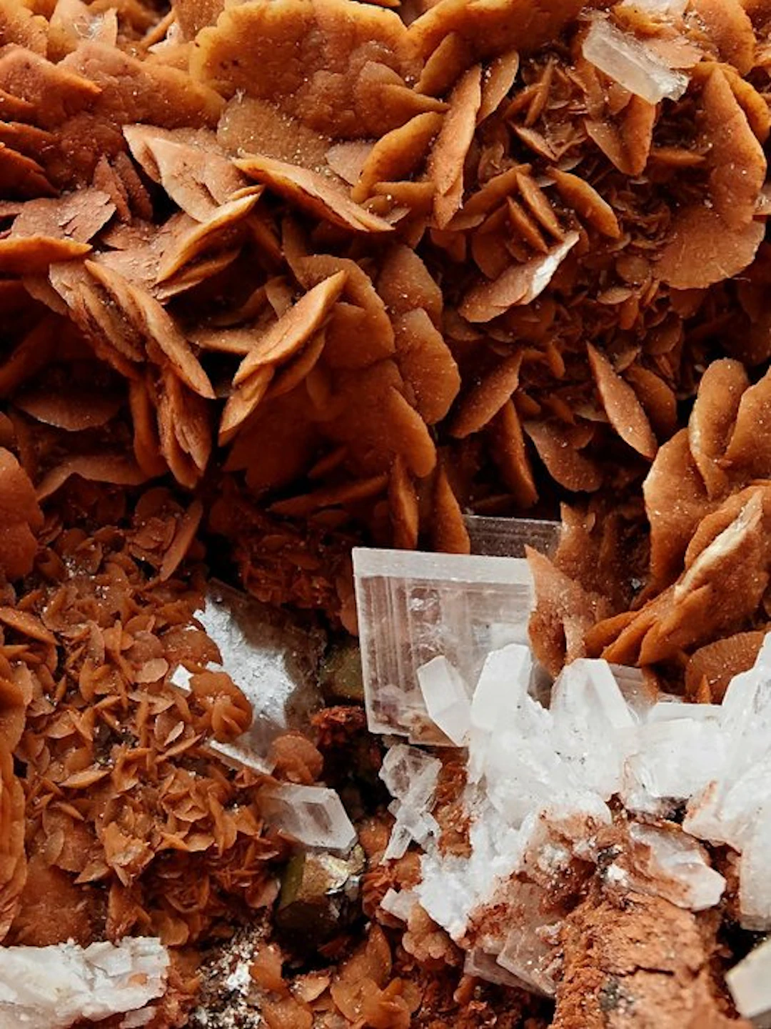 WHITE BARITE AESTHETICS with GHOSTS on RED SIDERITE...