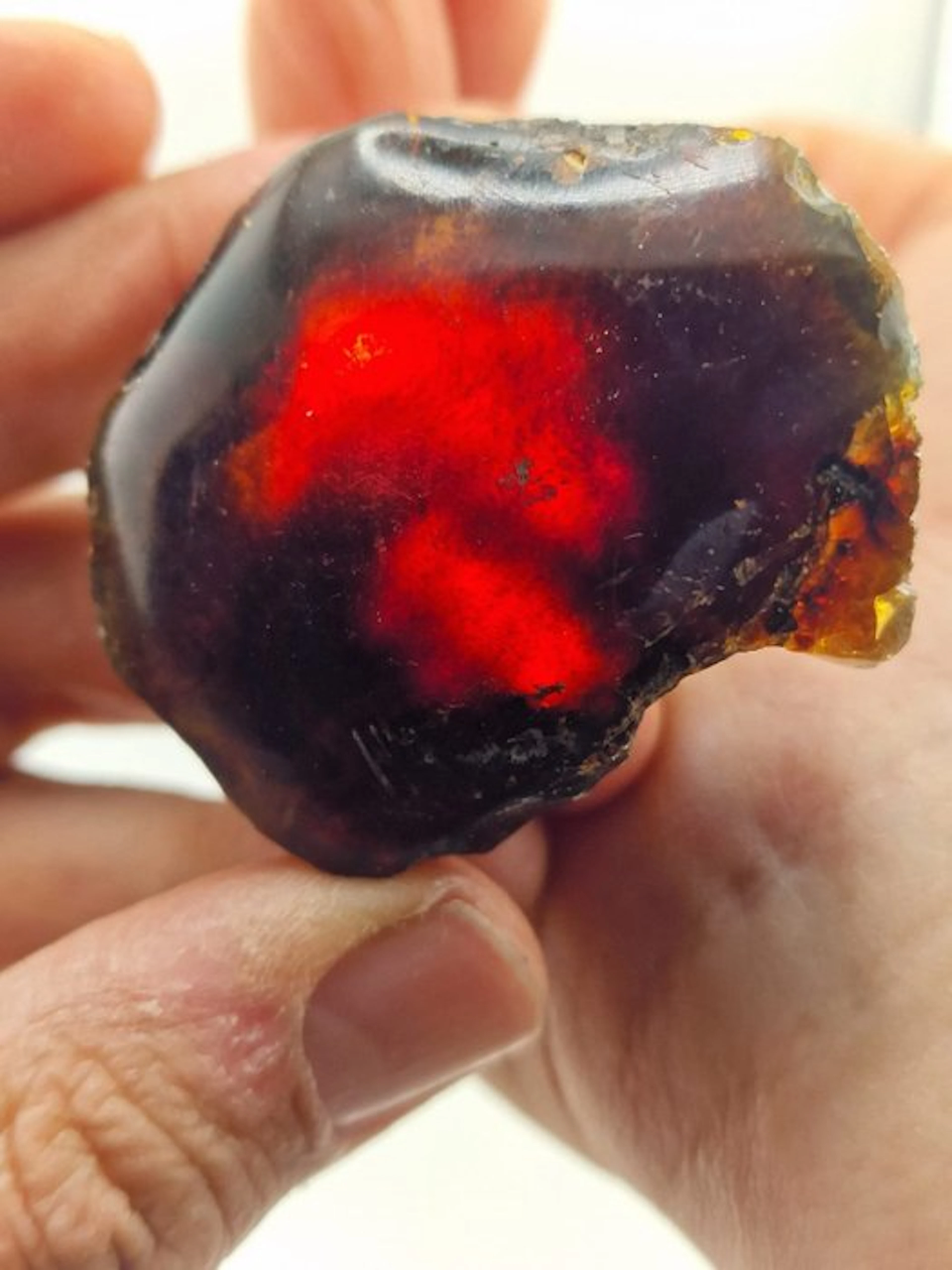 Natural Amber Rough Lot – Dark Honey Amber Specimens- 209 g - (7)