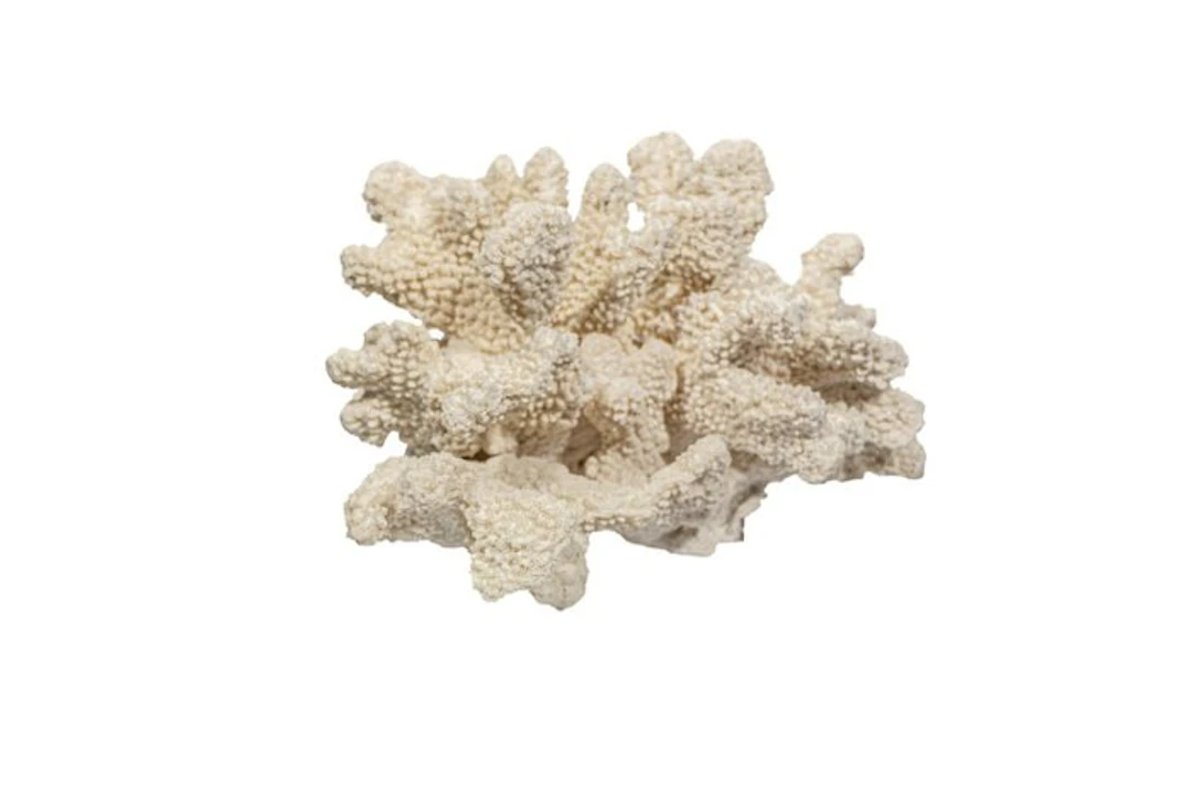 Luxurious maritime solitary housing – Pocillopora...
