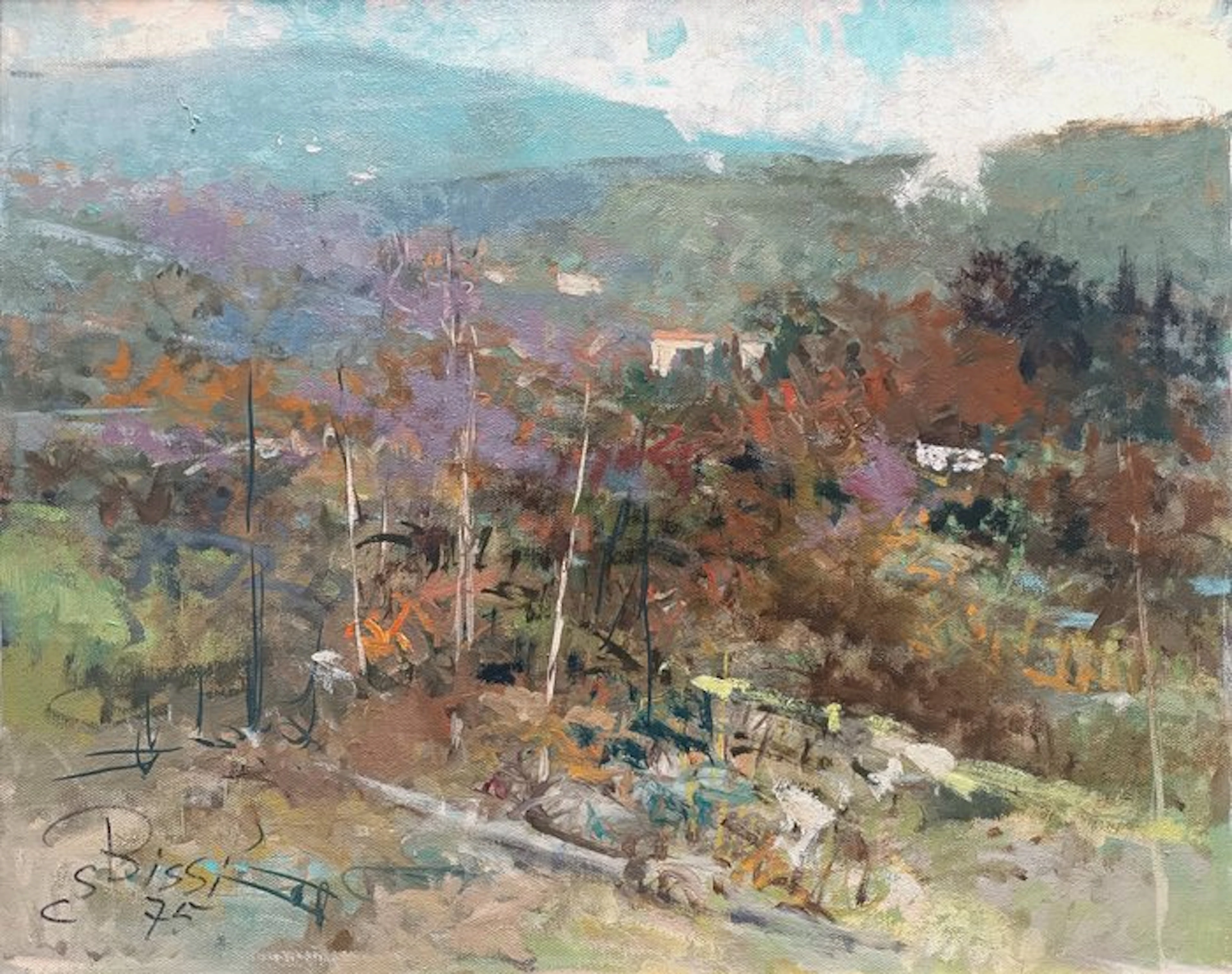 Sergio Cirno Bissi (1902-1987) - Castagno D'Andrea (FI) - NO RESERVE