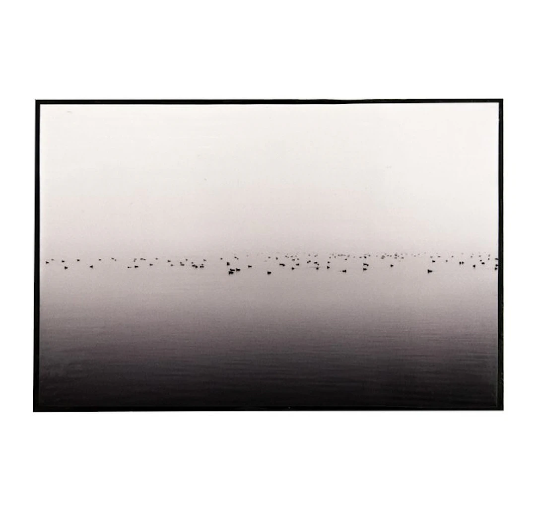 Rouzbeh Tahmassian - Community - No reserve price