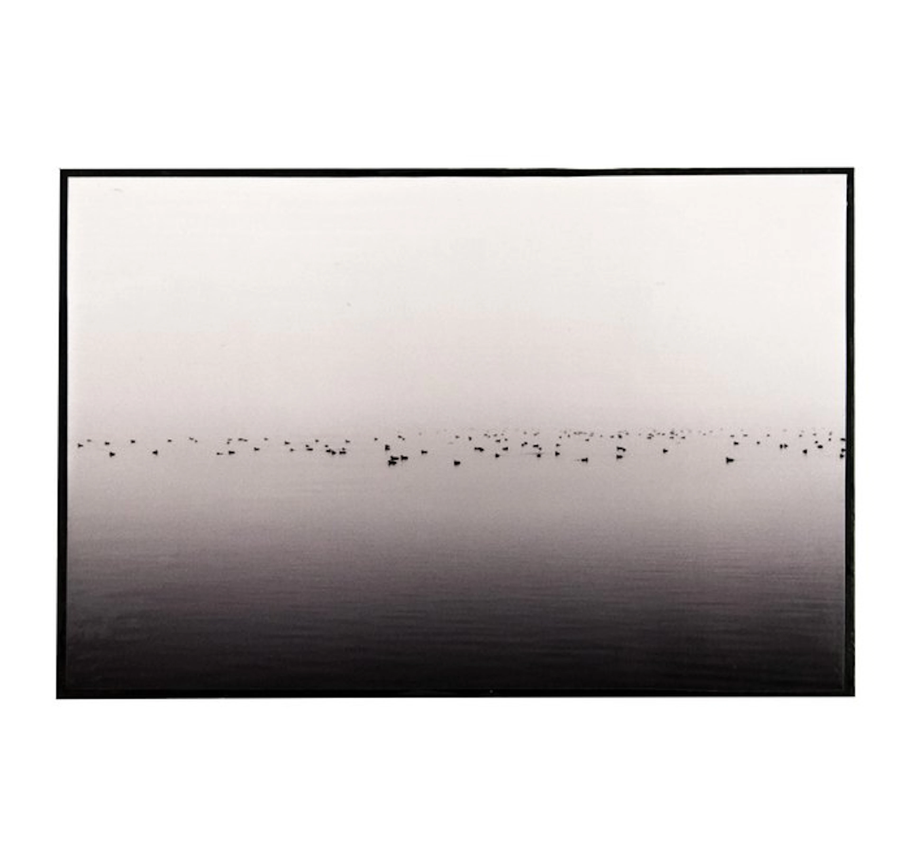 Rouzbeh Tahmassian - Community - No reserve price