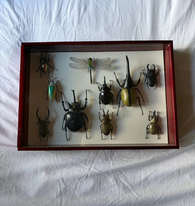 Wall decoration (2)