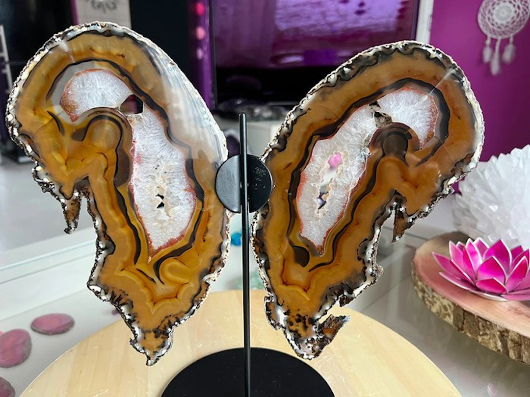 Agate Slices - Height: 29 cm - Width: 30 cm- 1.1 kg - (1)