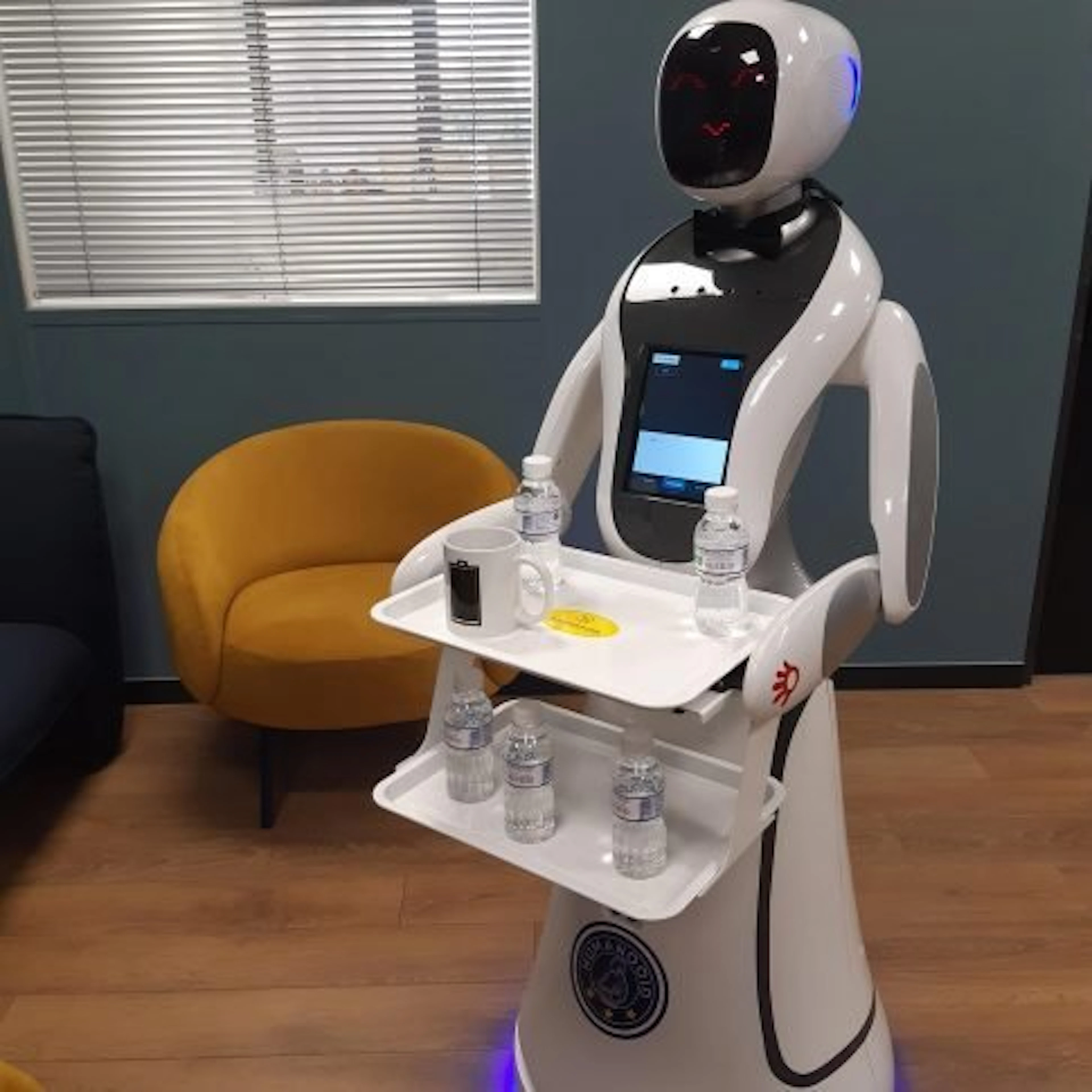 Humanooid service robot (robot serveur) - Computer (1)
