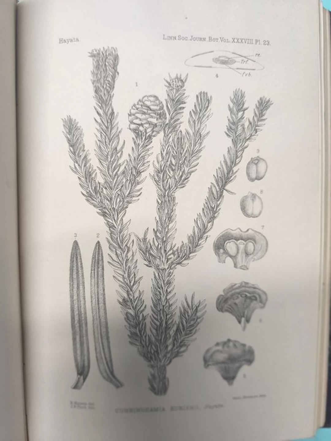 [Various] - The Journal of the Linnean Society - Botany - 1901-1945