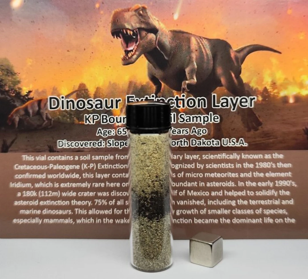 K-T Boundary (K-Pg). EXTINCTION of the DINOSAURS (65 million years). - 20 g