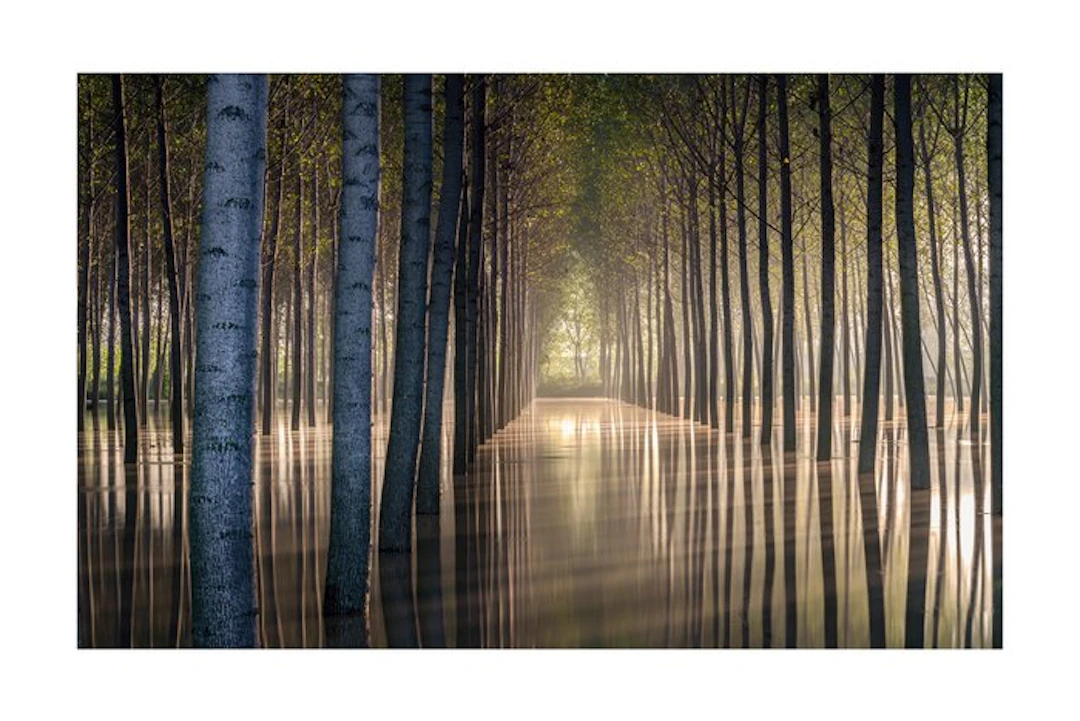 Sergio Sberna - Terre basse