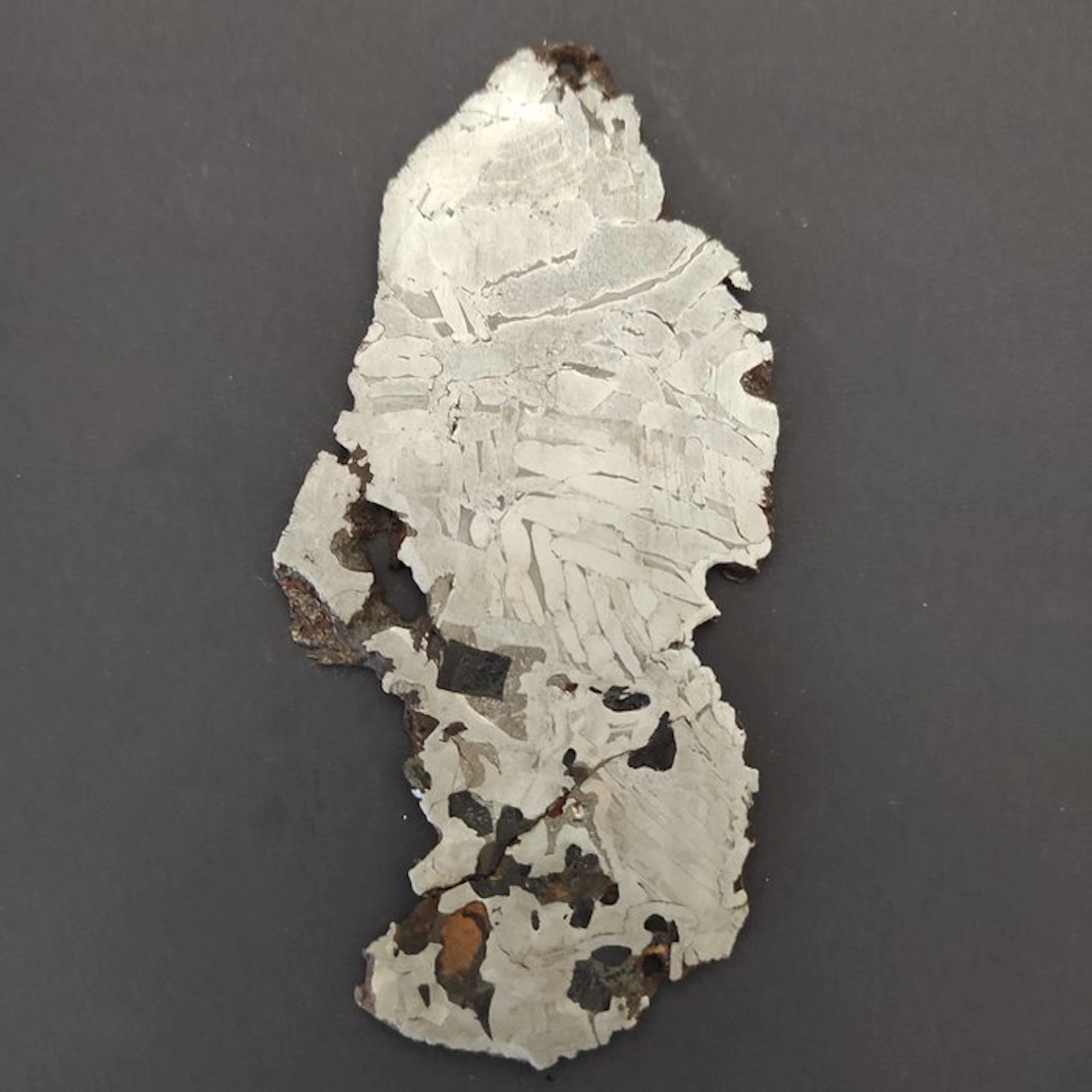 Seymchan meteorite Slice - Height: 0.03 cm - Width: 7 cm- 60 g - (1)