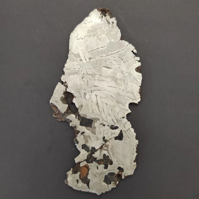 Seymchan meteorite Slice - Height: 0.03 cm - Width: 7 cm- 60 g - (1)