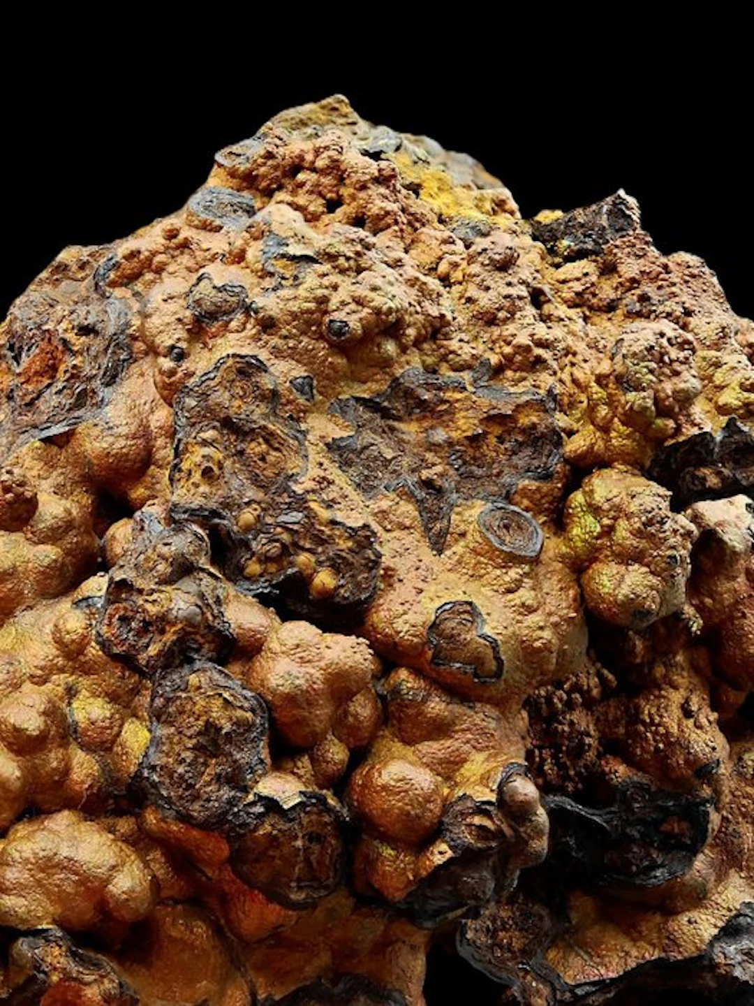Rare gilded botroidal goethite