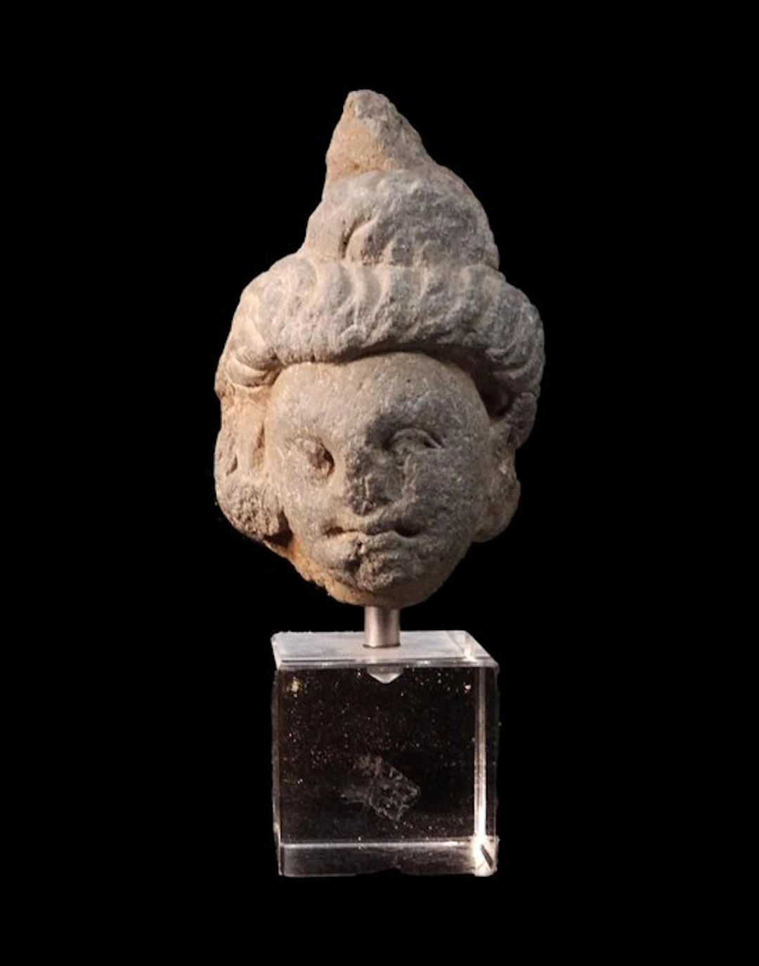 Gandhara - Bodhisattva head in shale - 2nd/3rd century A.D.