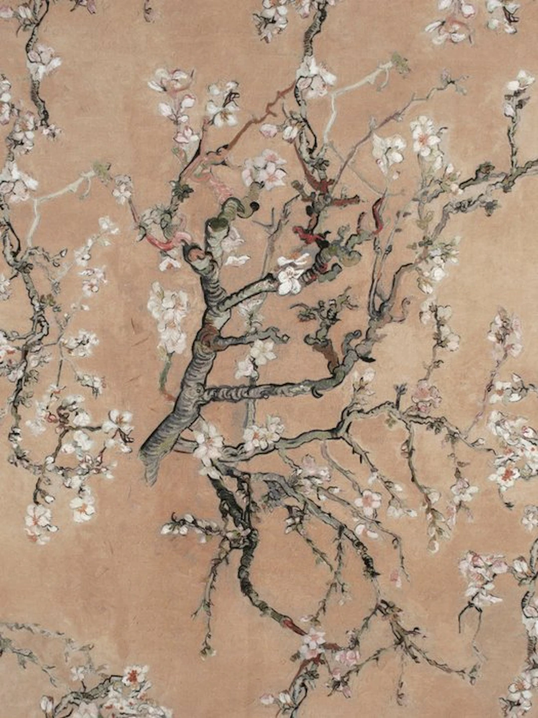3x3 meters TexStilArt - ALMOND BEIGE - Exclusive 100%...