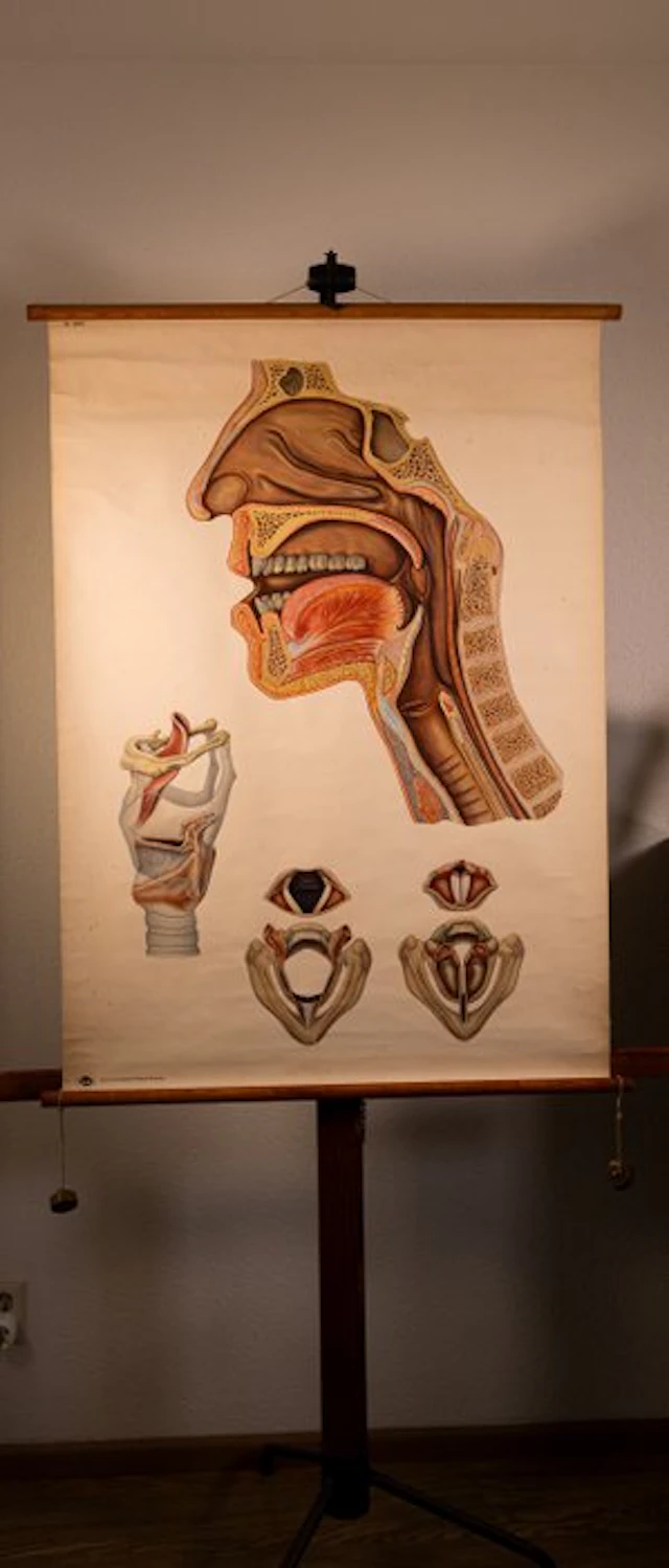 Deutsches Hygienemuseum Dresden - Beautiful old original...