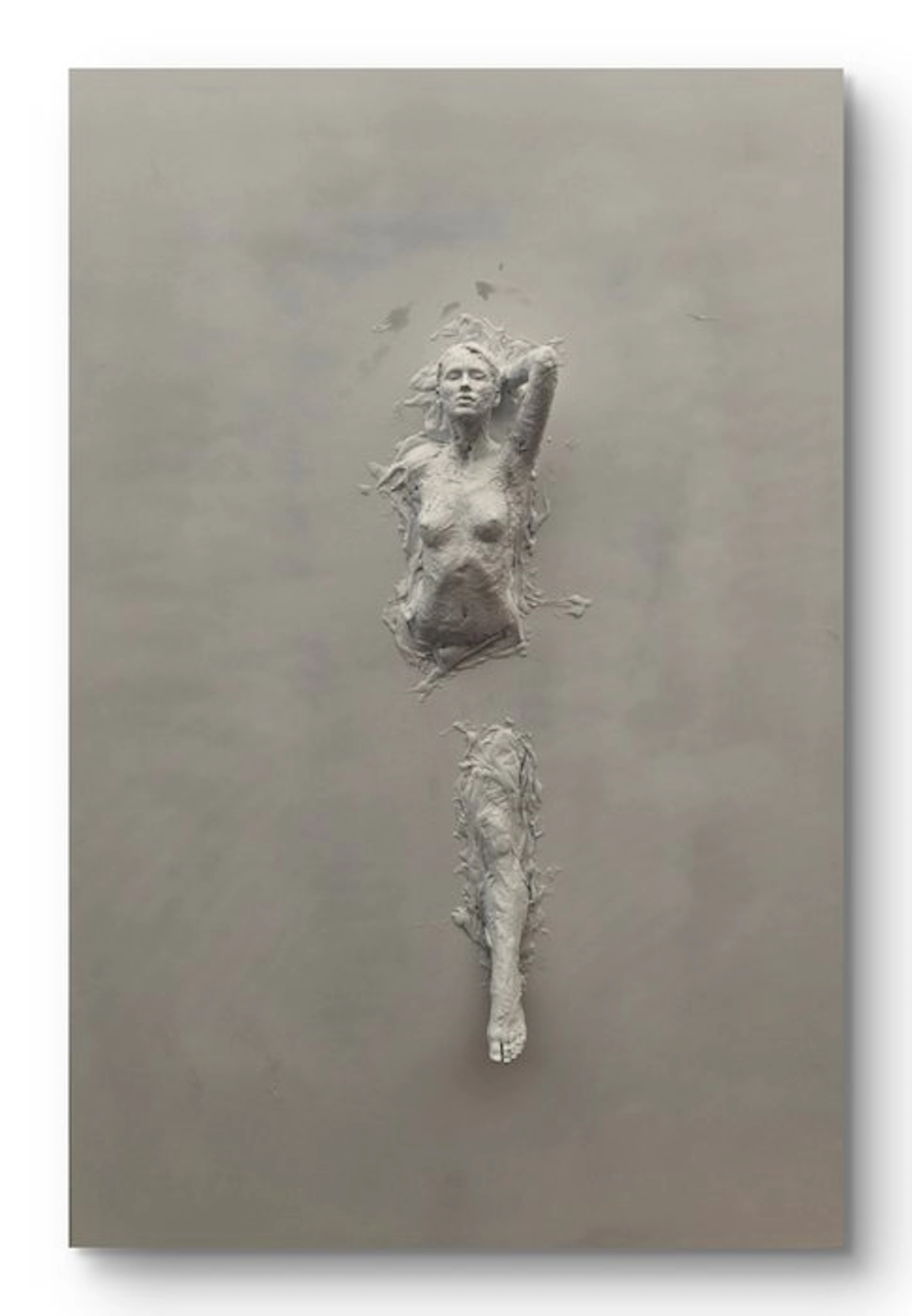Nicole Lubbers - Silent Form XXL