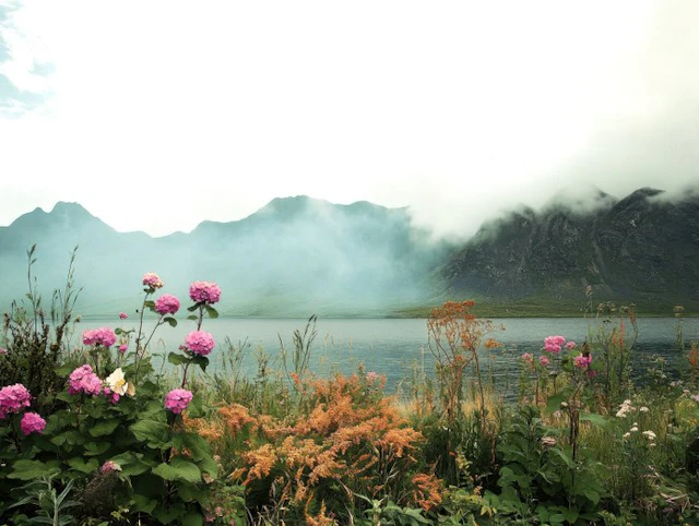 Viet Ha Tran - Dreamy Landscape I