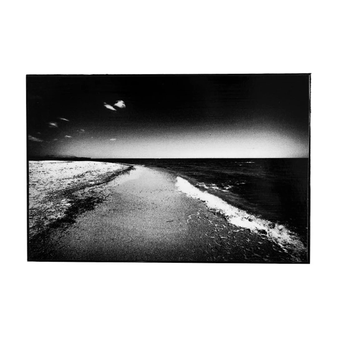 Rouzbeh Tahmassian - Drifted - No reserve price