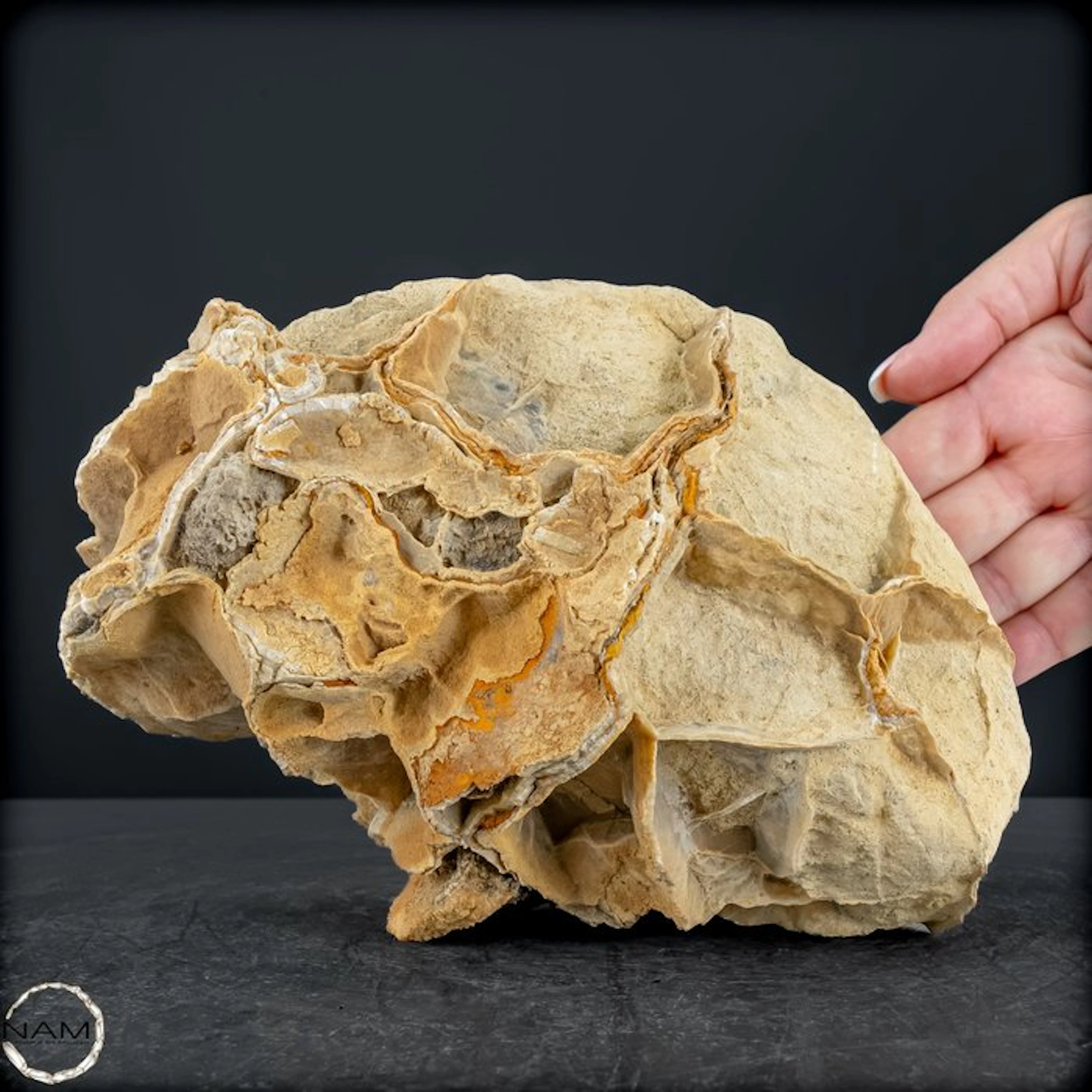Septarian Raw Stone Nugget – Fascinating natural rock...