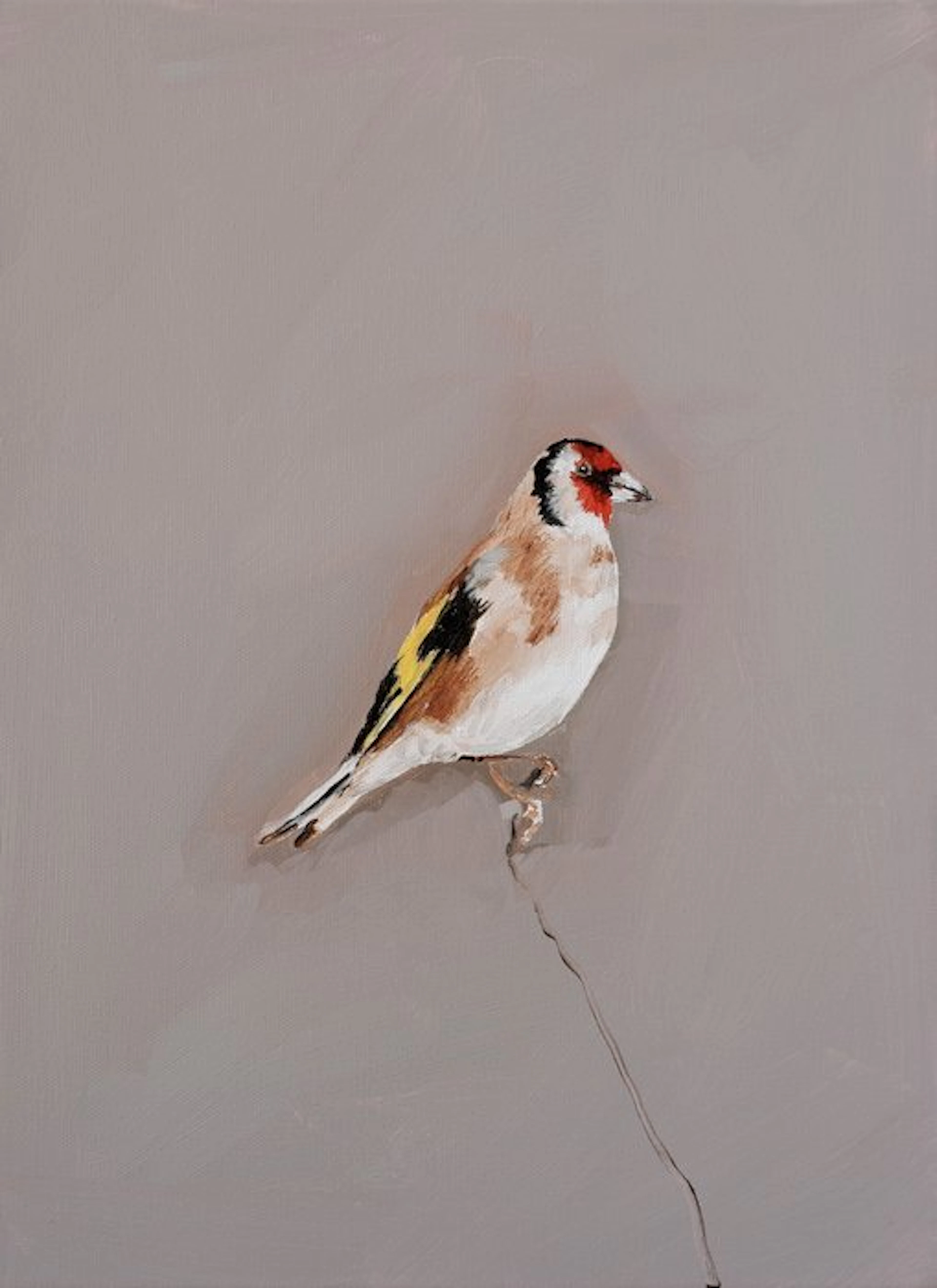 Matthieu van Riel - Putter
