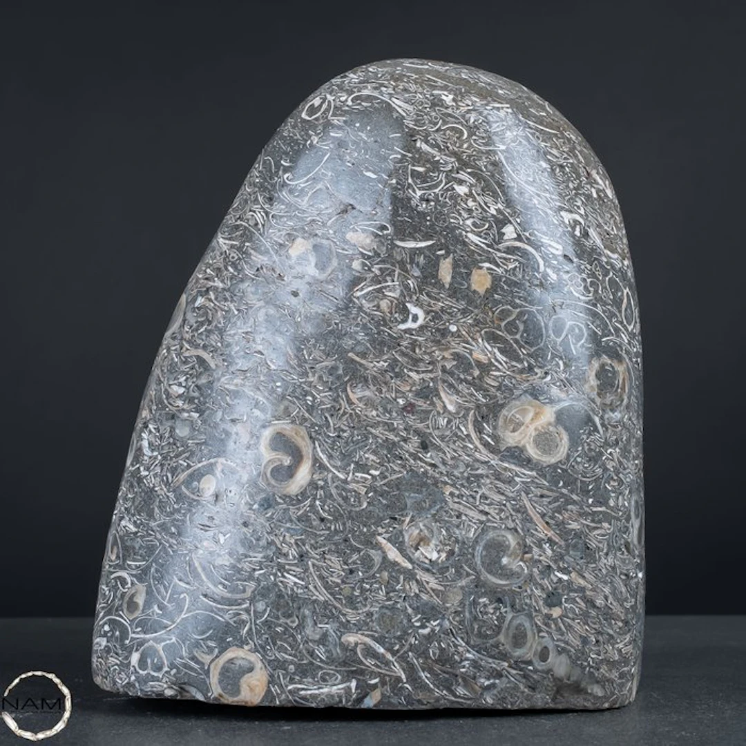 Natural crinoid freeform from Indonesia- 3478.15 g