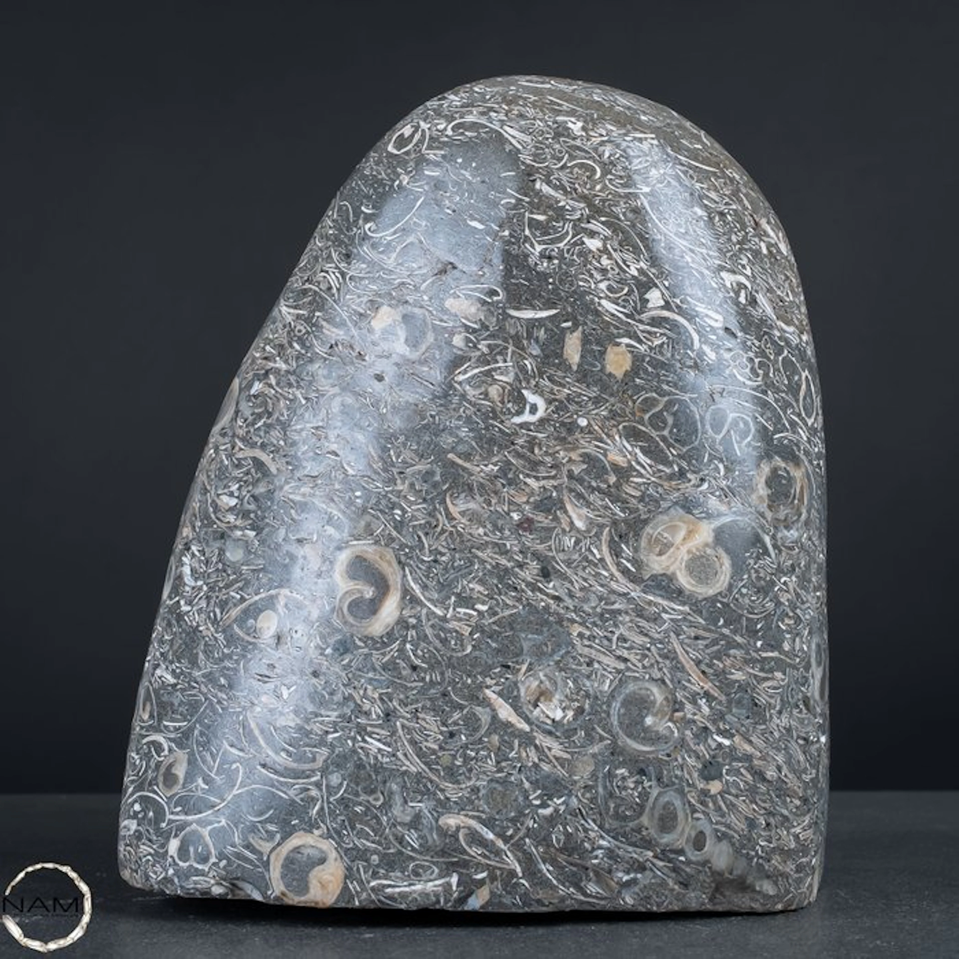 Natural crinoid freeform from Indonesia- 3478.15 g